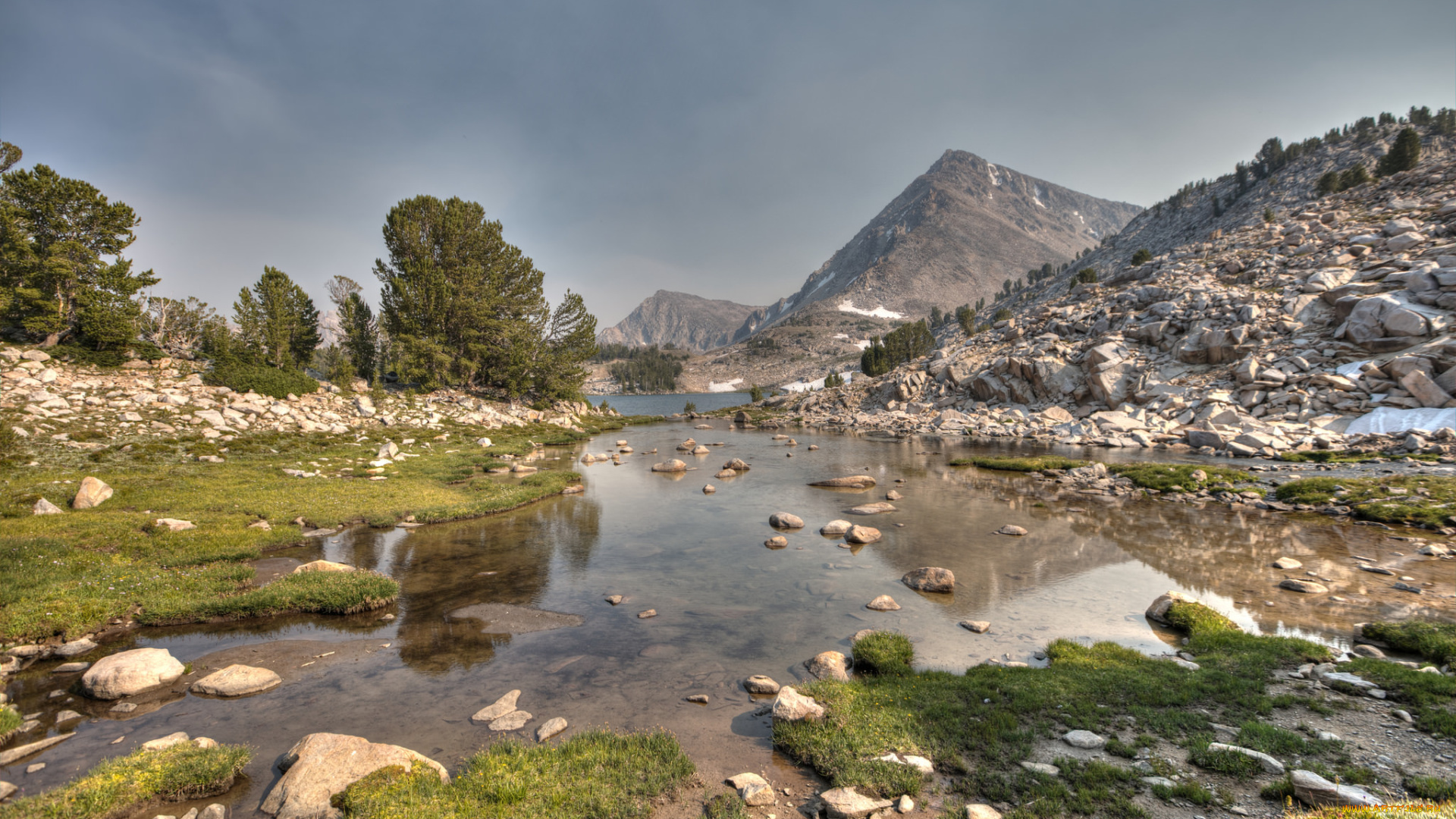 природа, реки, озера, лес, река