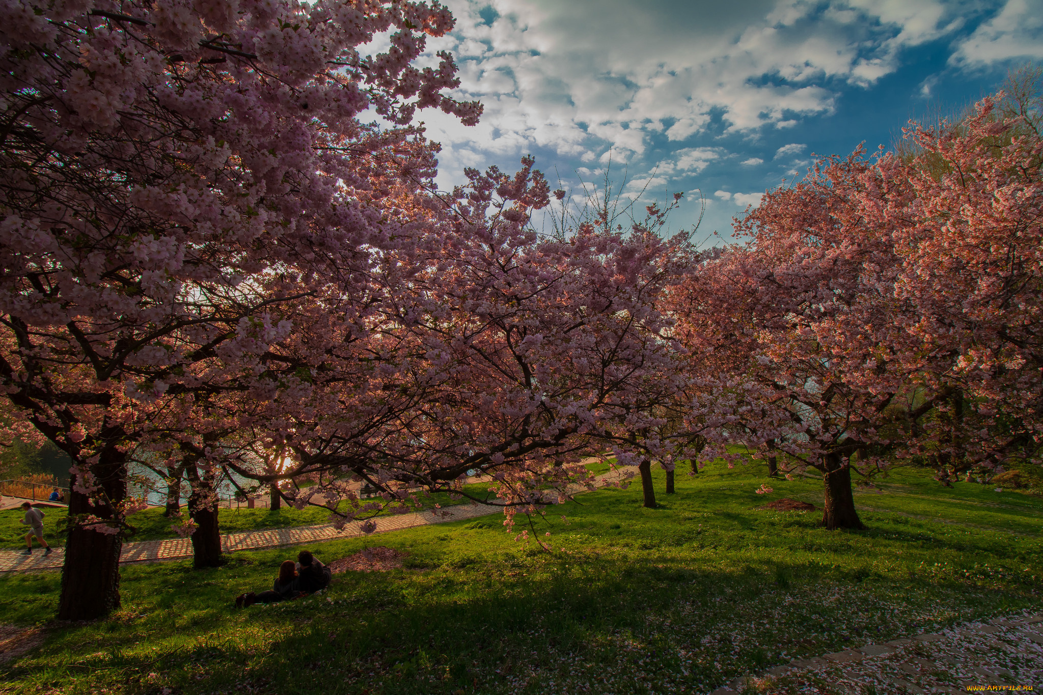 природа, парк