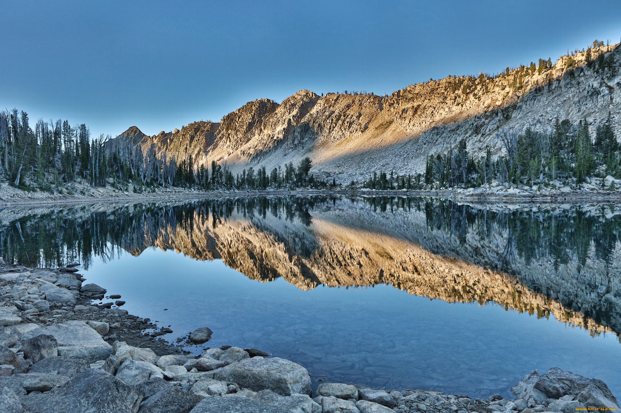 природа, реки, озера, лес, река