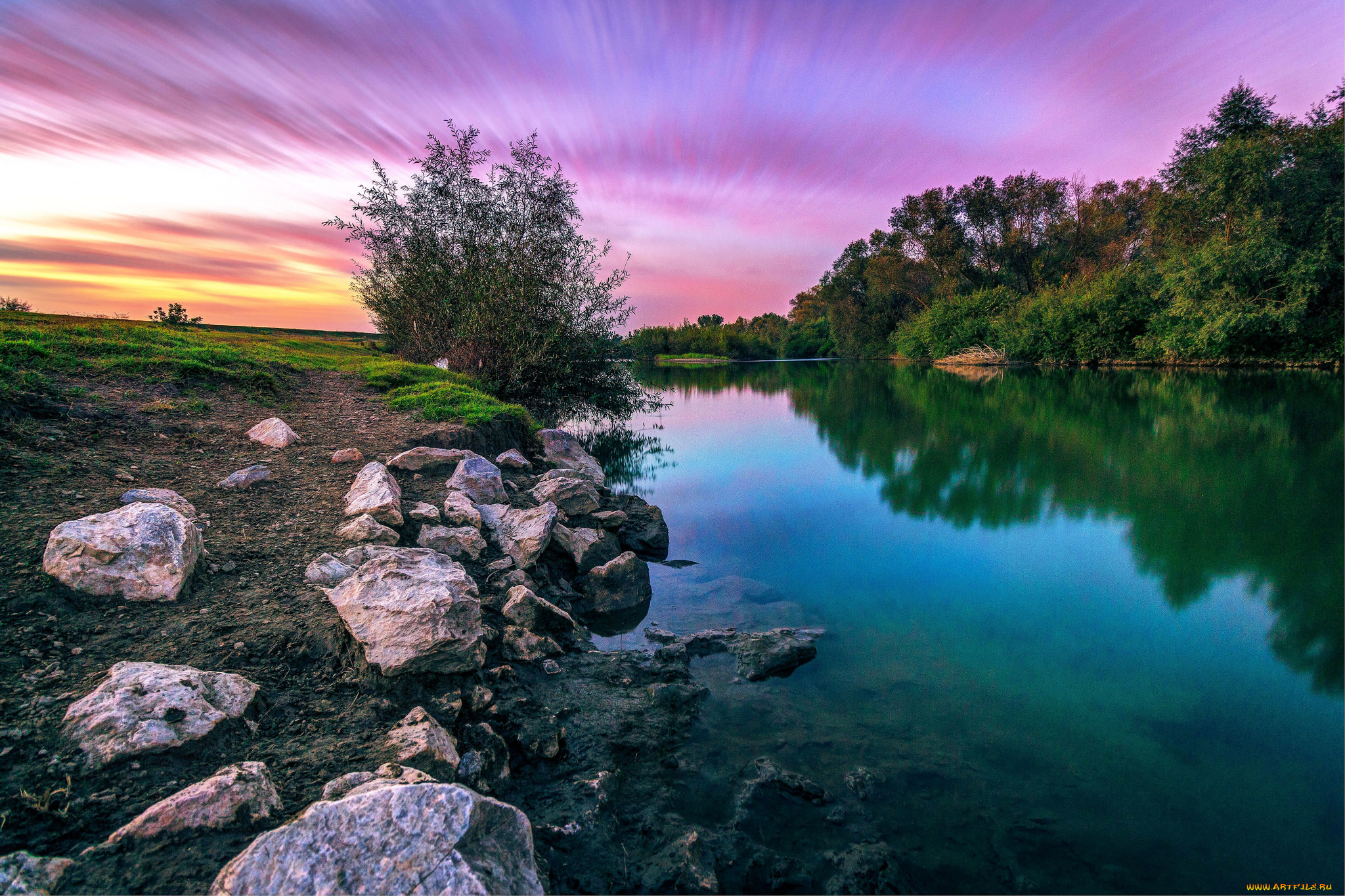 природа, реки, озера, лес, река