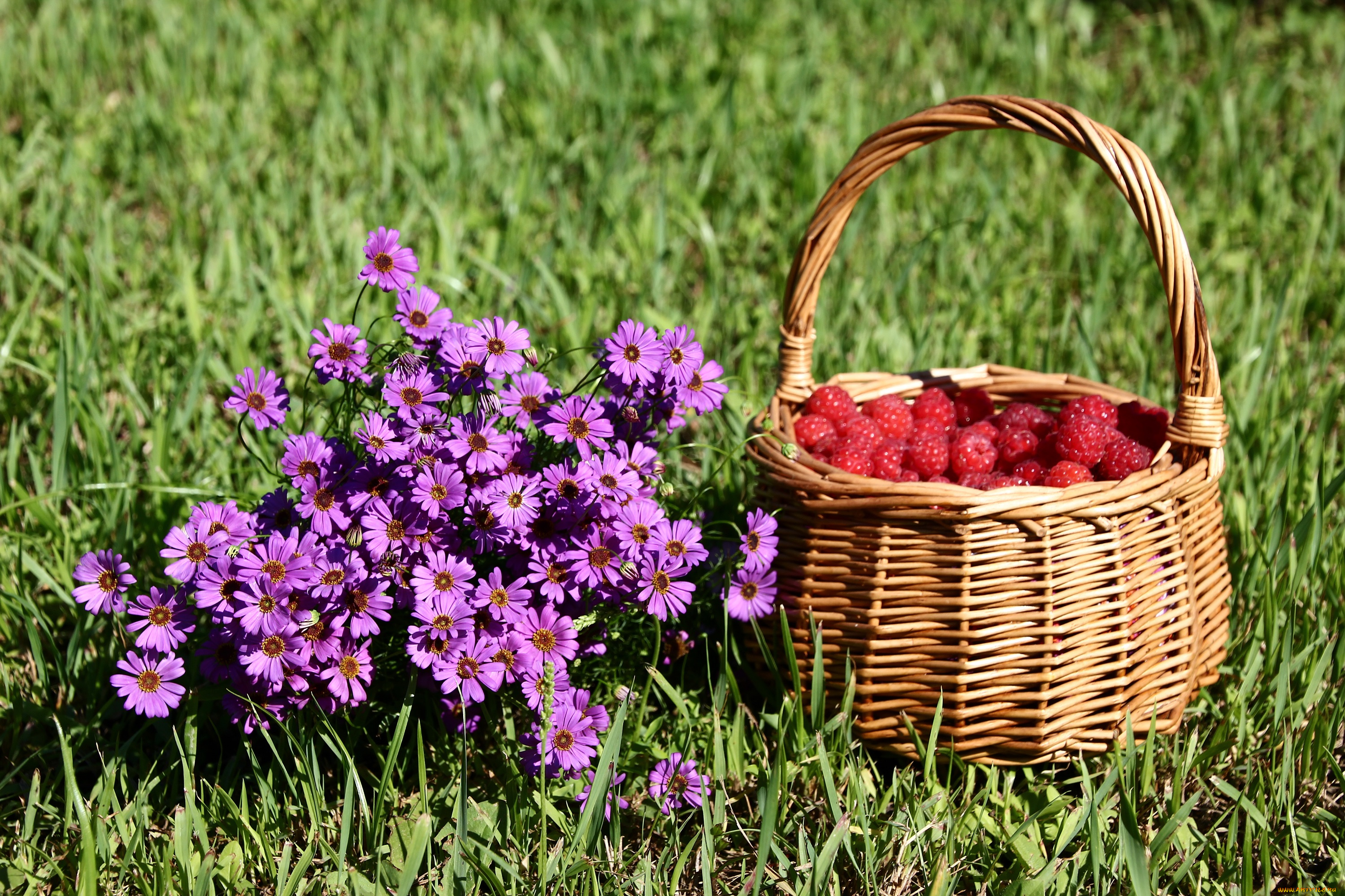 еда, малина, брахикома, букетик, дача, июль, композиции, корзинка, лето
