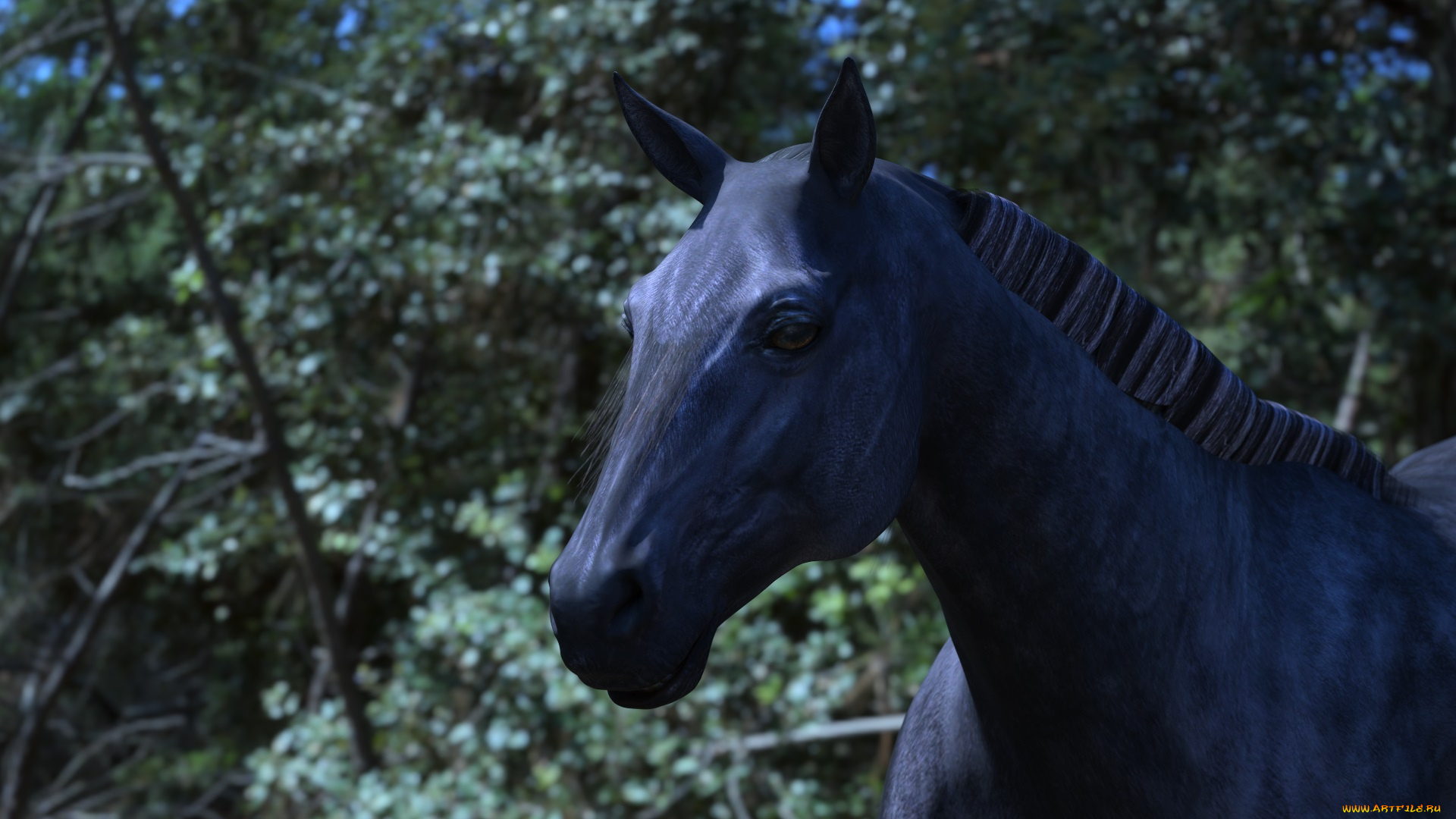 3д, графика, животные, , animals, голова, грива, лошадь