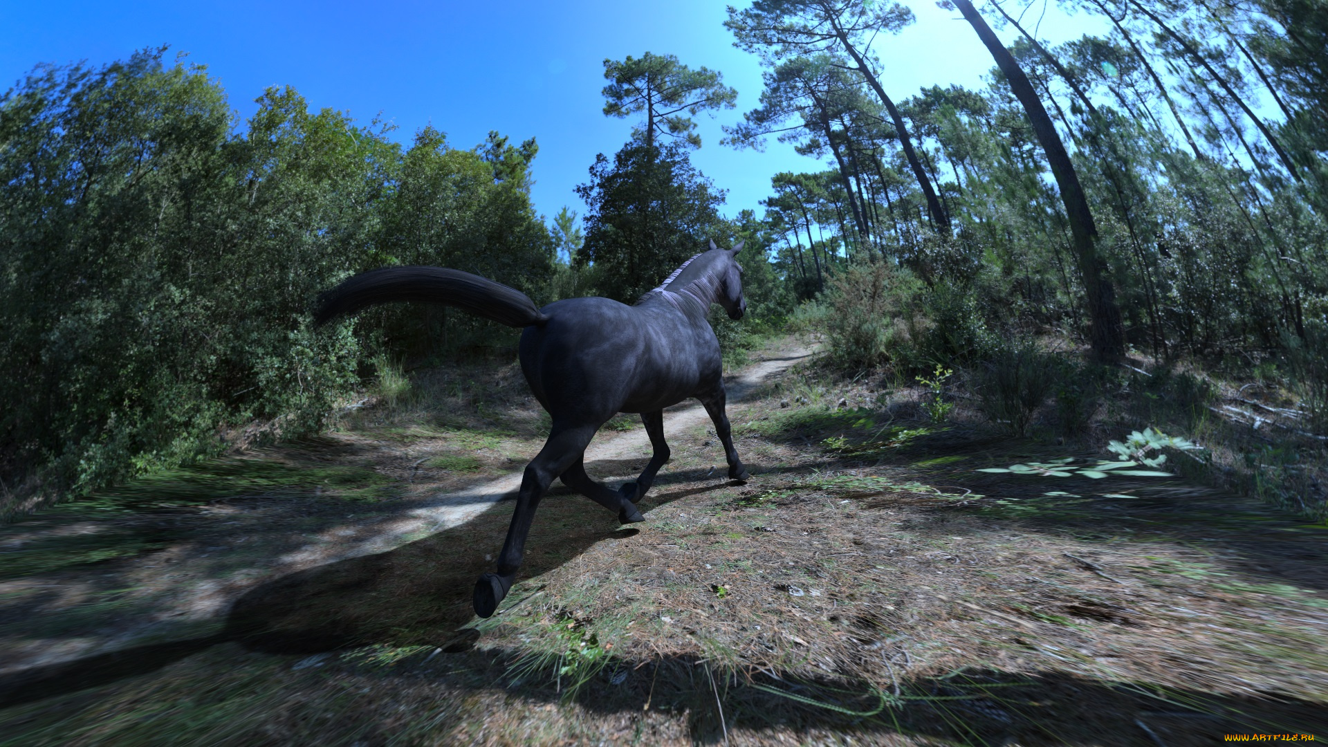 3д, графика, животные, , animals, голова, грива, лошадь