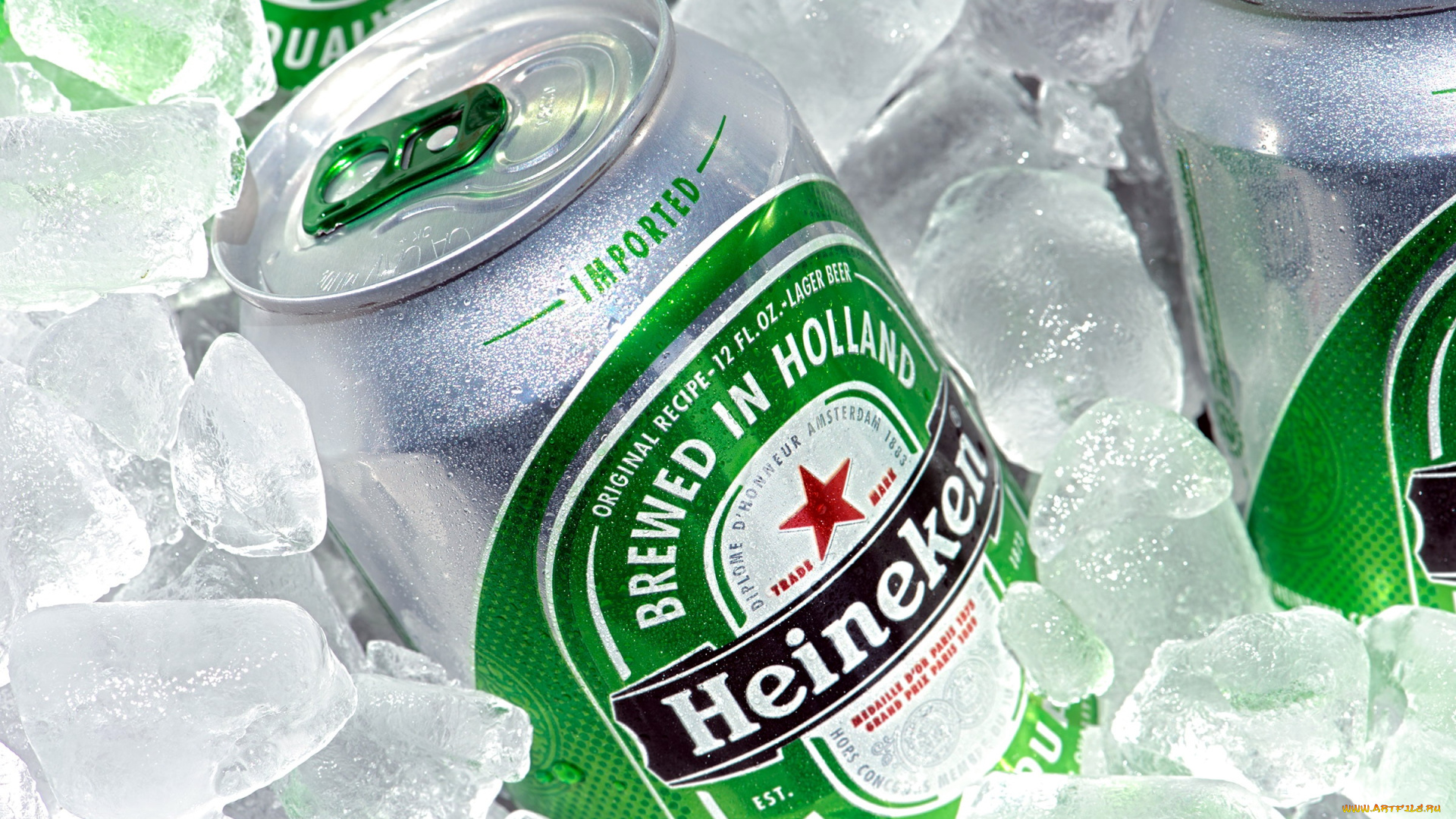 бренды, head, &, shoulders, пиво