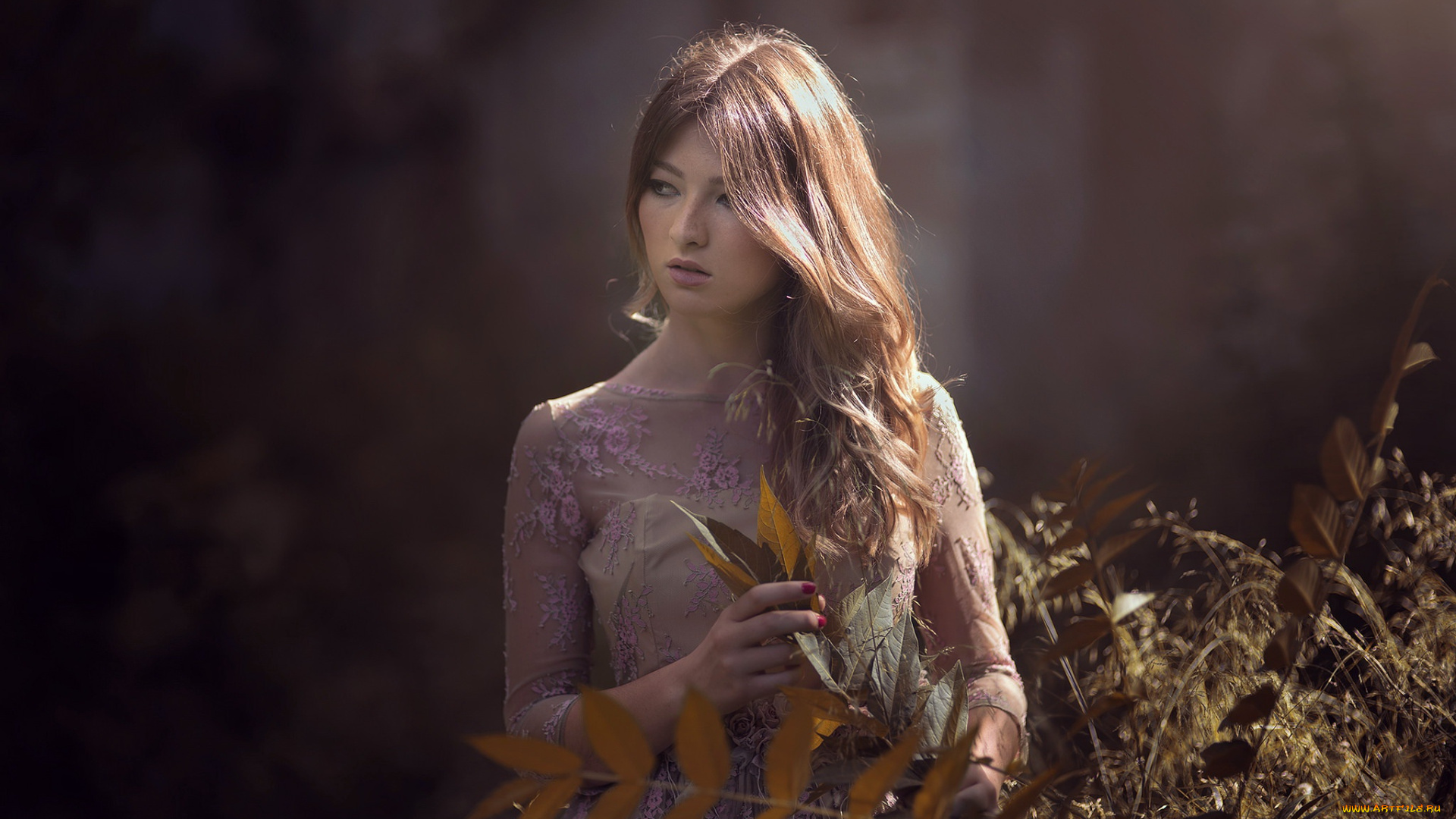 девушка, девушки, -unsort, , блондинки, , светловолосые, модель