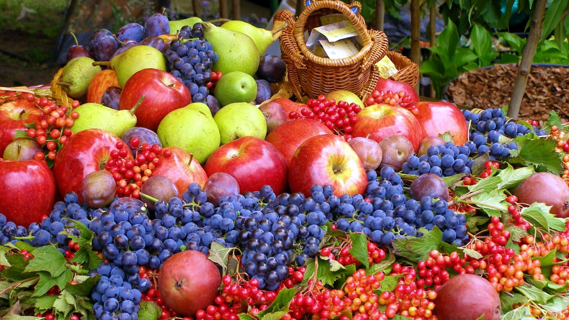 еда, фрукты, , ягоды, груши, яблоки, виноград