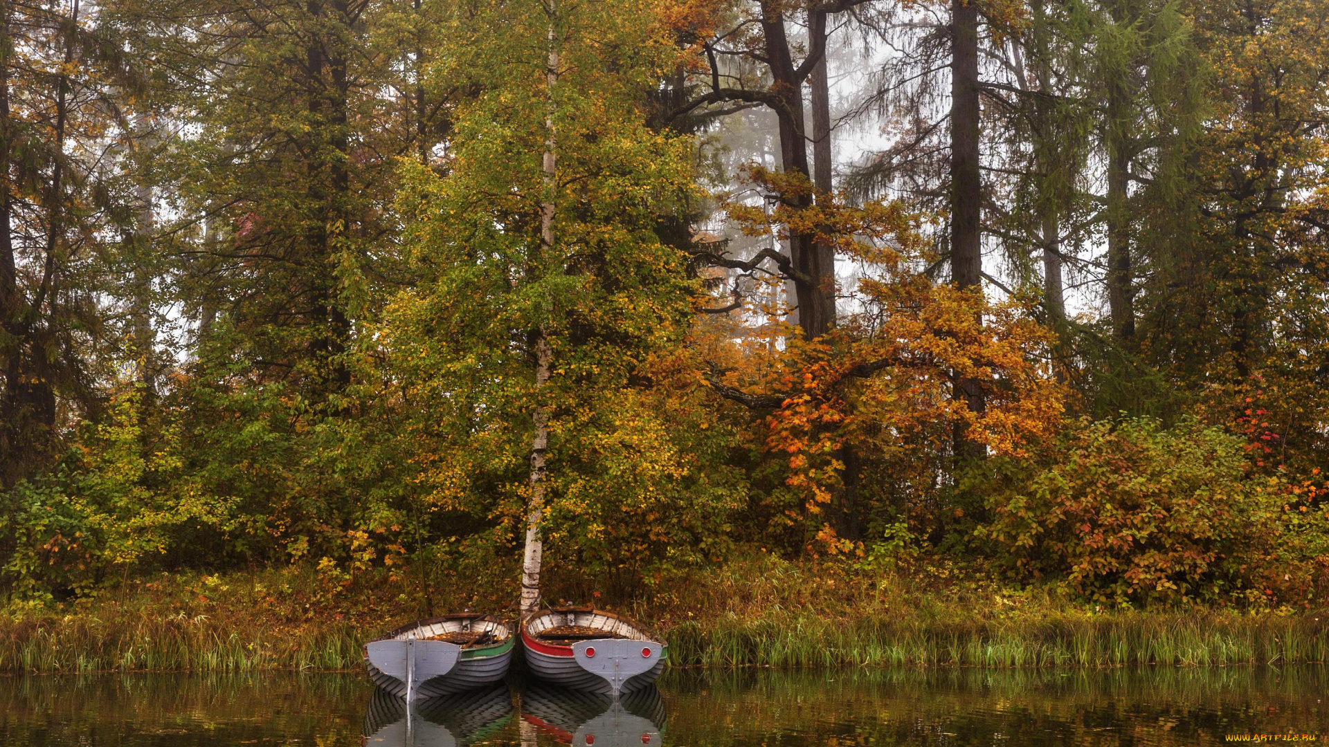 корабли, лодки, , шлюпки, озеро, лес, осень