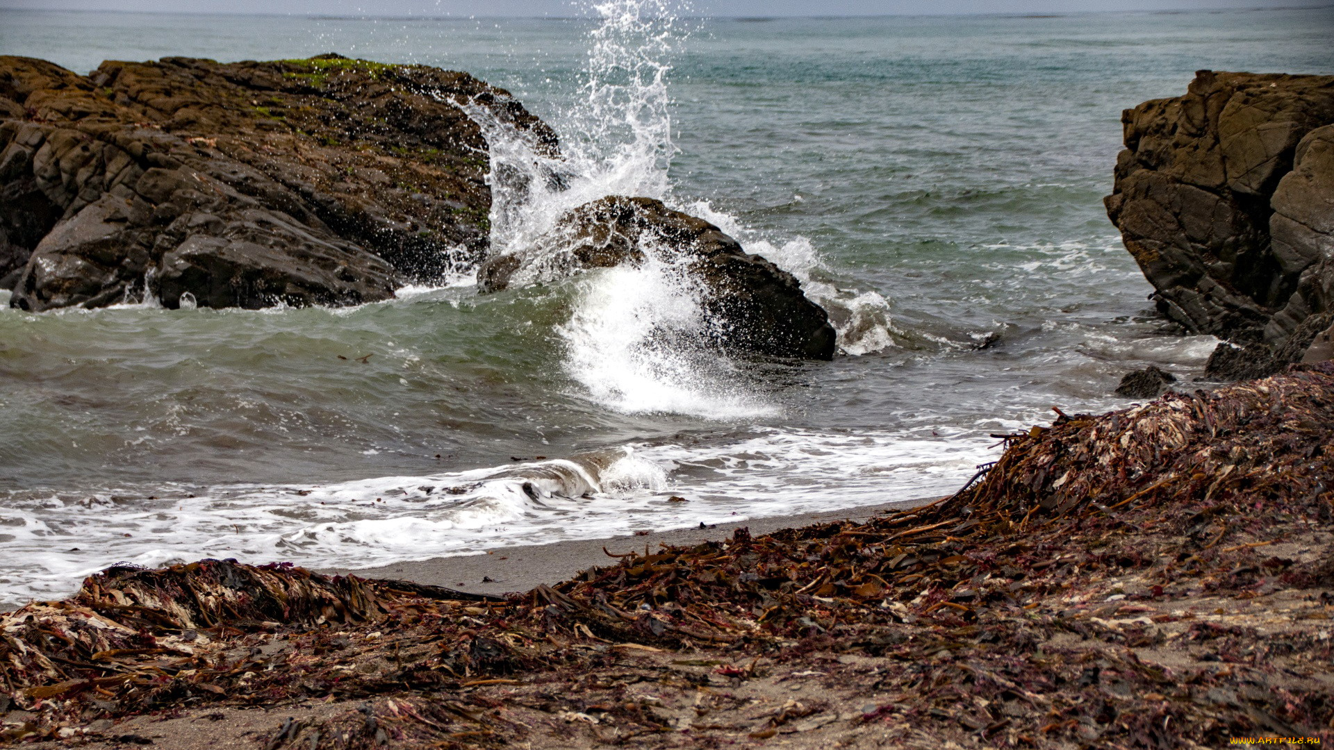 природа, побережье, скалы