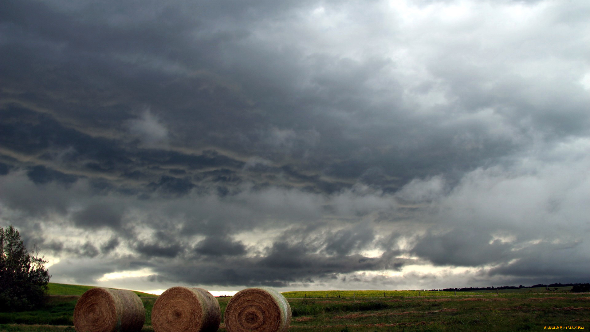 природа, поля, облака, поле