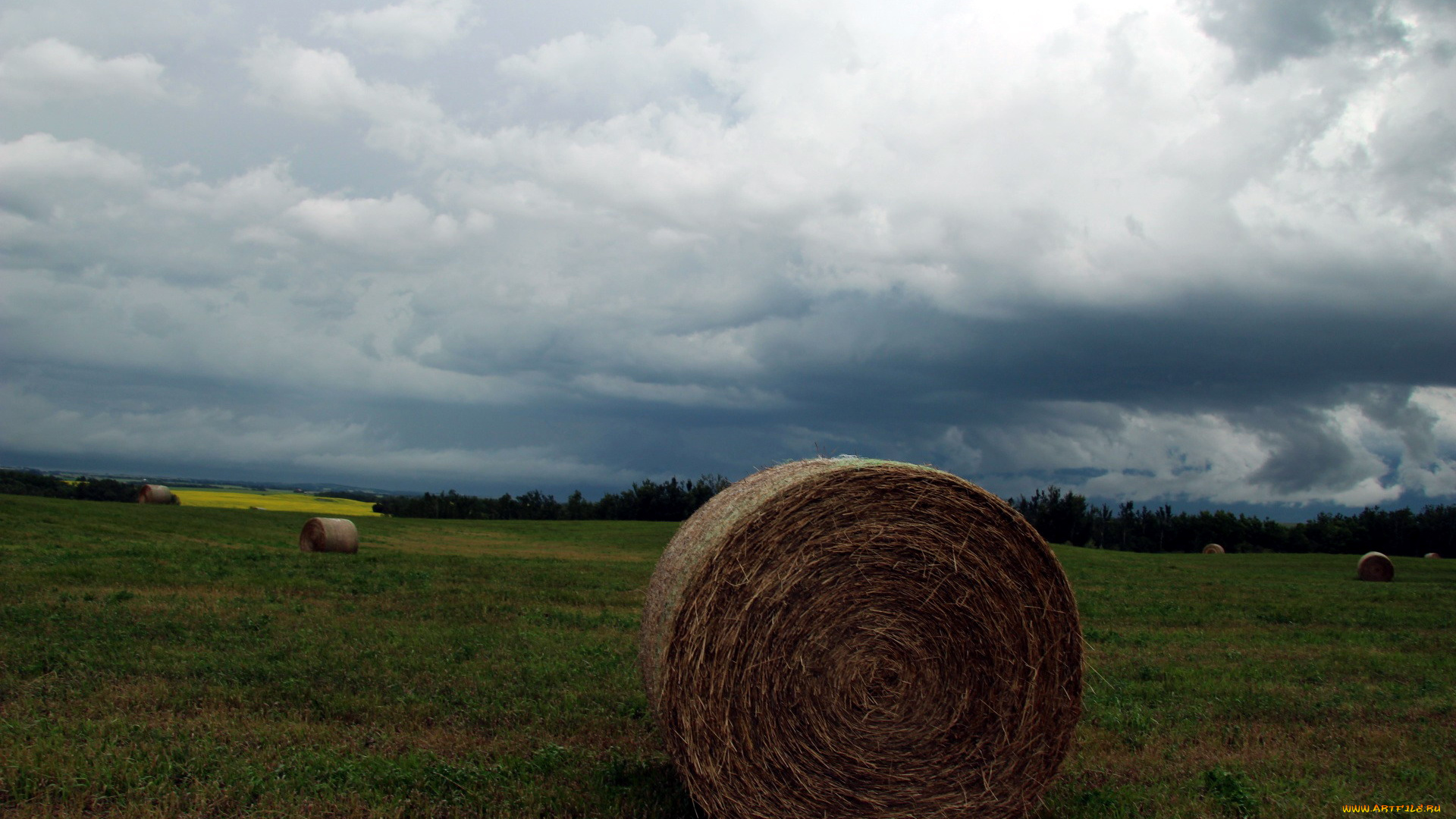 природа, поля, поле, облака
