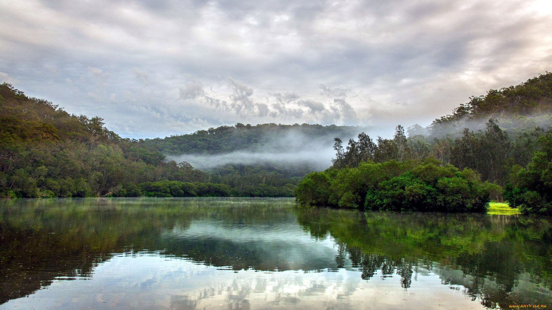 природа, реки, озера, отражение, река, туман