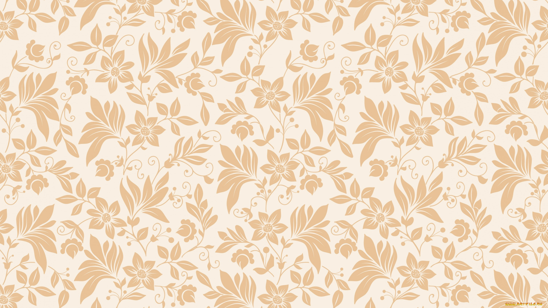 векторная, графика, цветы, , flowers, орнамент, текстура, цветы, бесшовные