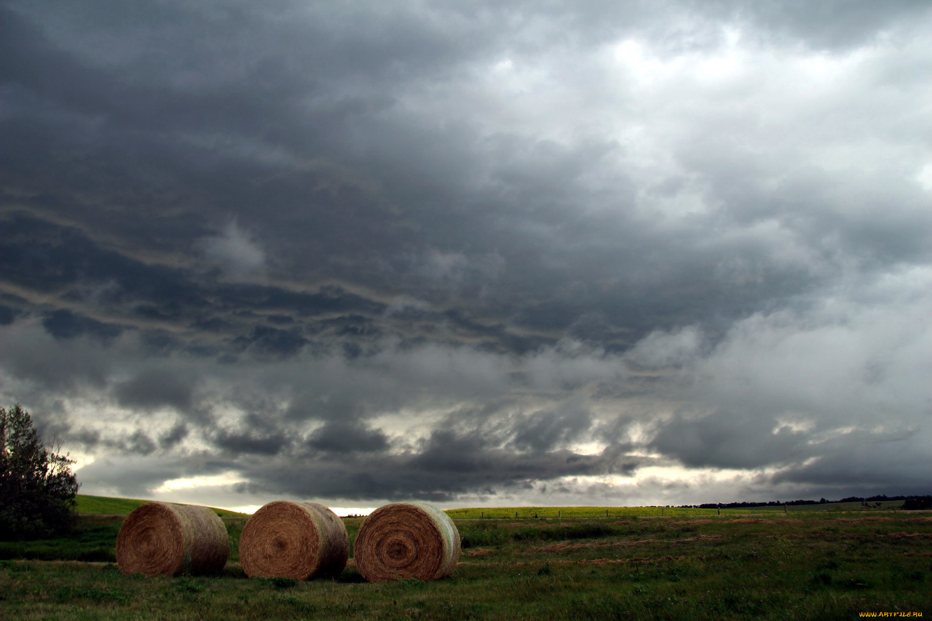 природа, поля, облака, поле