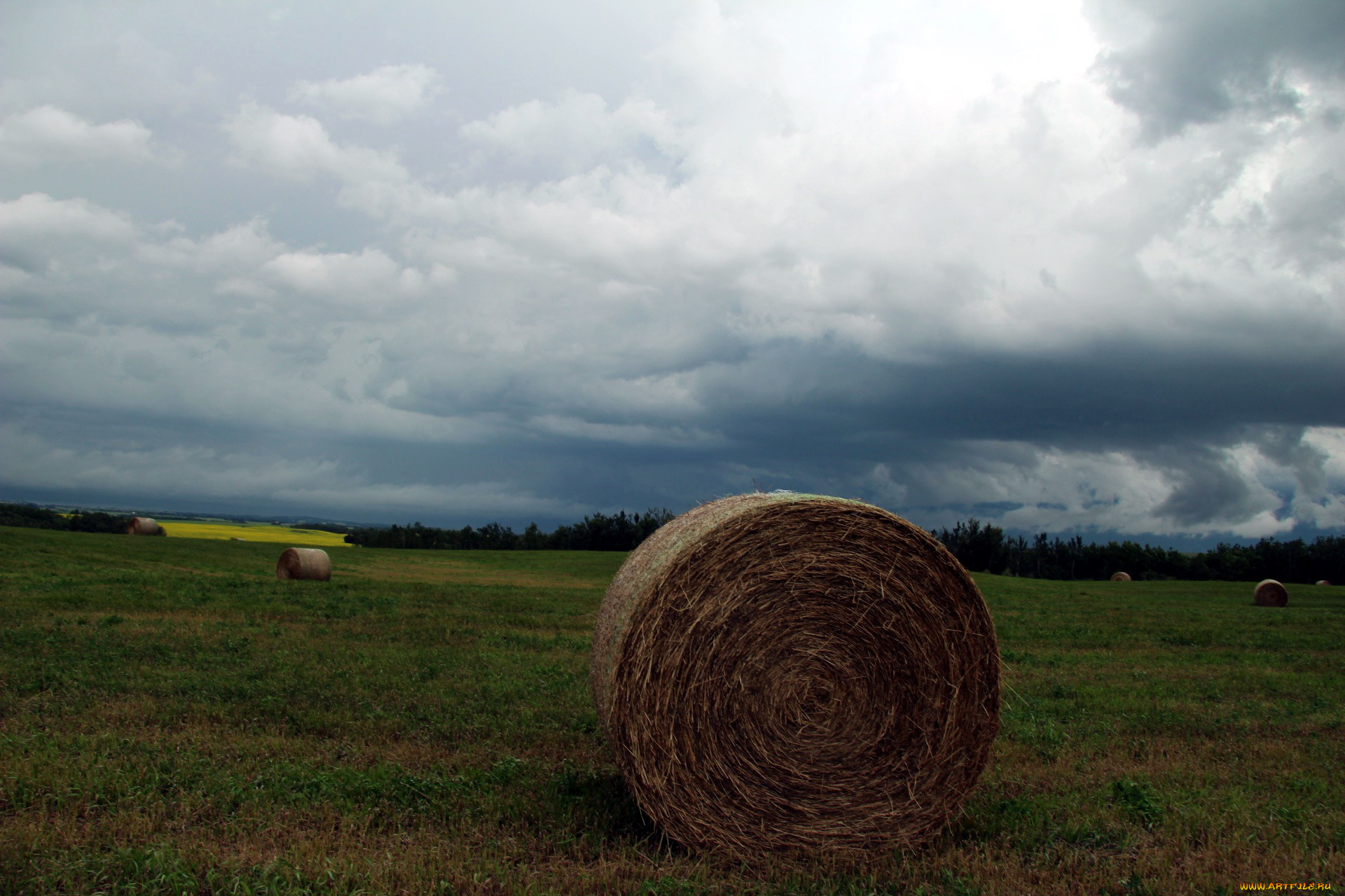 природа, поля, поле, облака