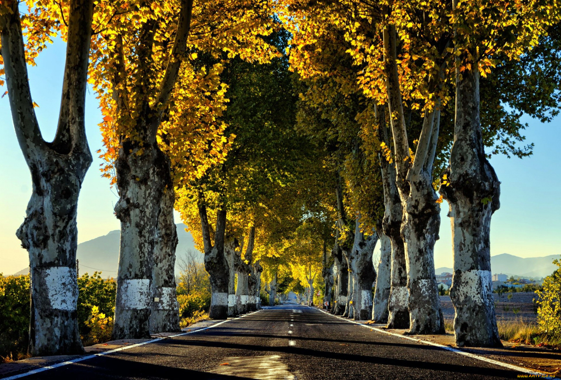 природа, дороги, шоссе