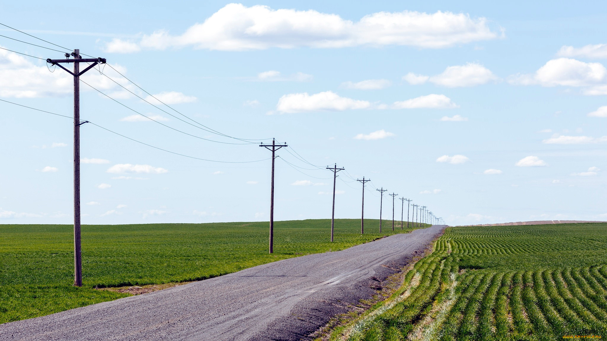 природа, дороги, проселочная, дорога, поля