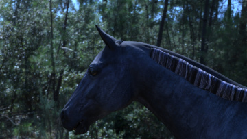 Картинка 3д+графика животные+ animals голова грива лошадь