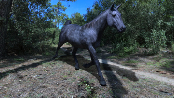 Картинка 3д+графика животные+ animals голова грива лошадь