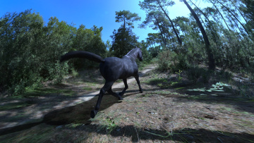 Картинка 3д+графика животные+ animals голова грива лошадь