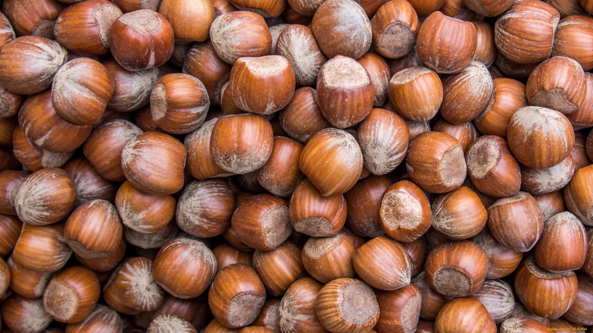 еда, орехи, , каштаны, , какао-бобы, фундук