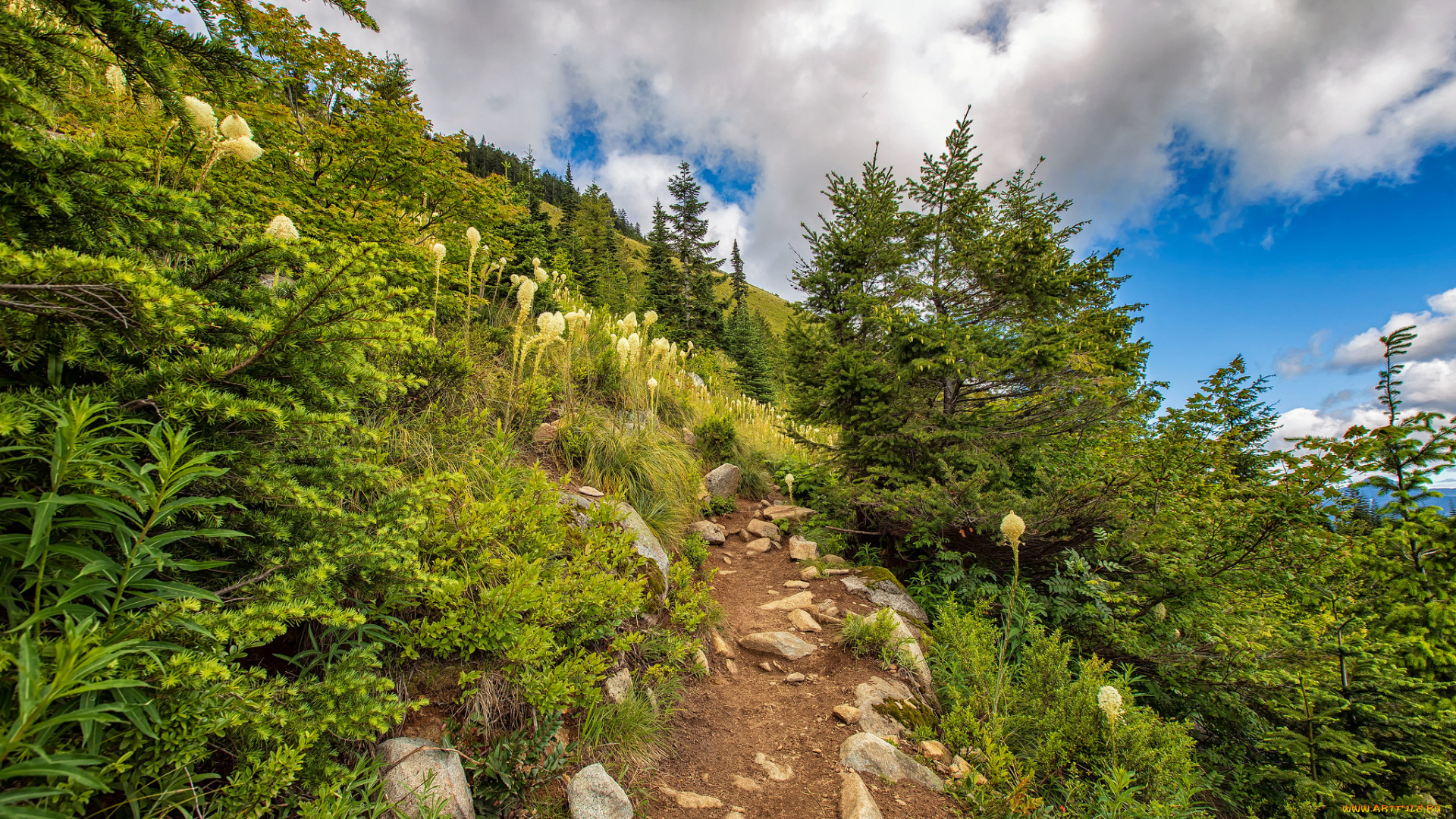 природа, пейзажи, простор