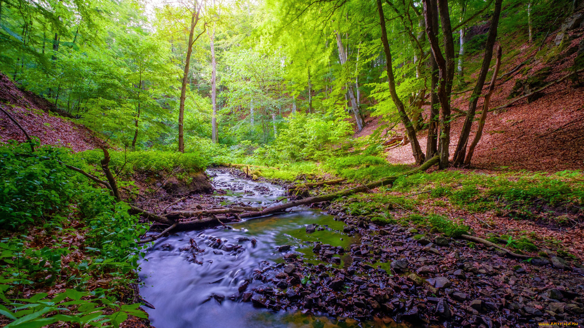 природа, реки, озера, поток