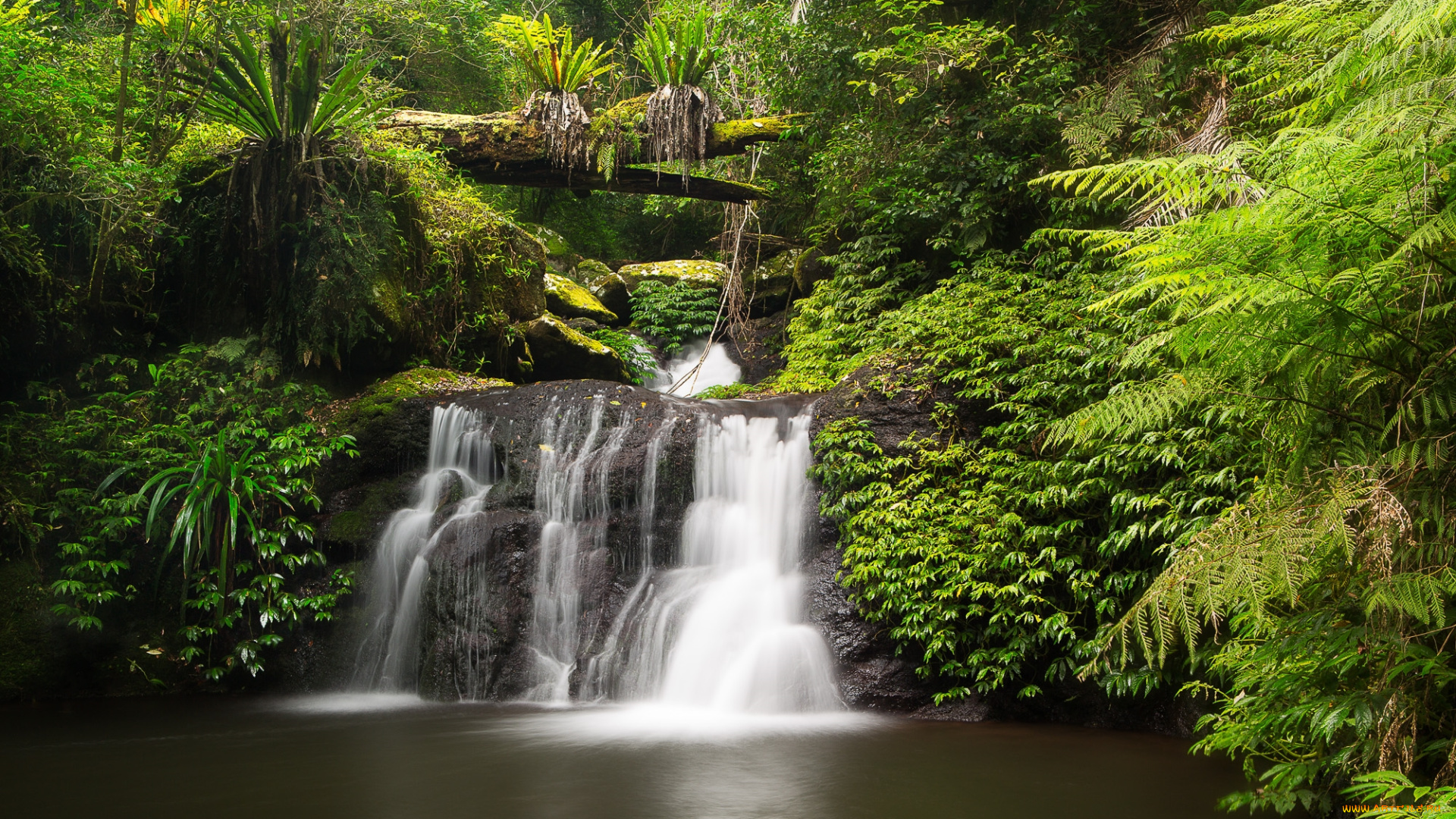 природа, водопады, водопад