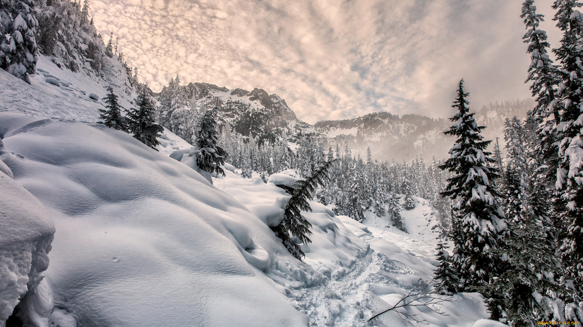 природа, зима, простор