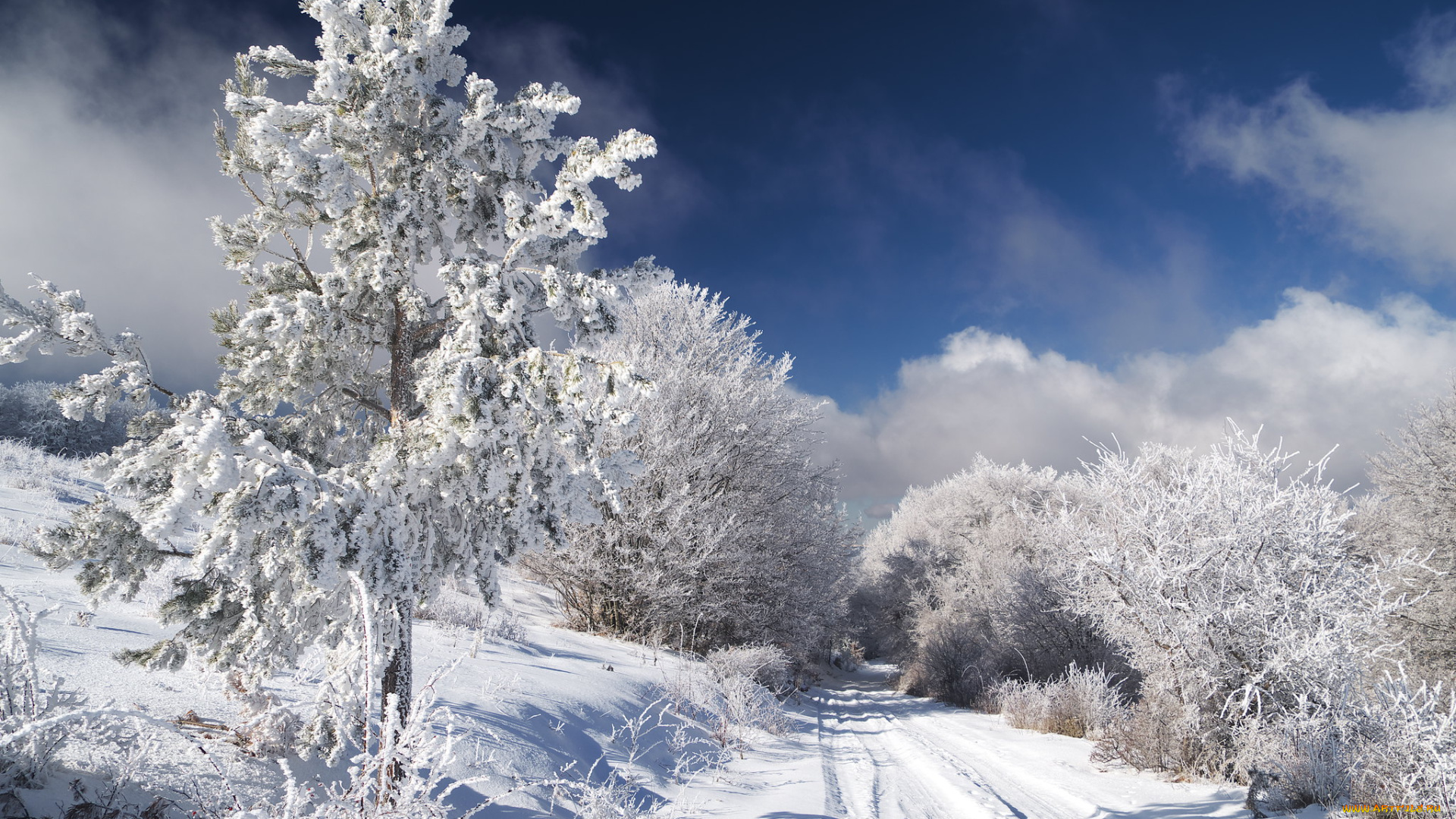 природа, зима, простор