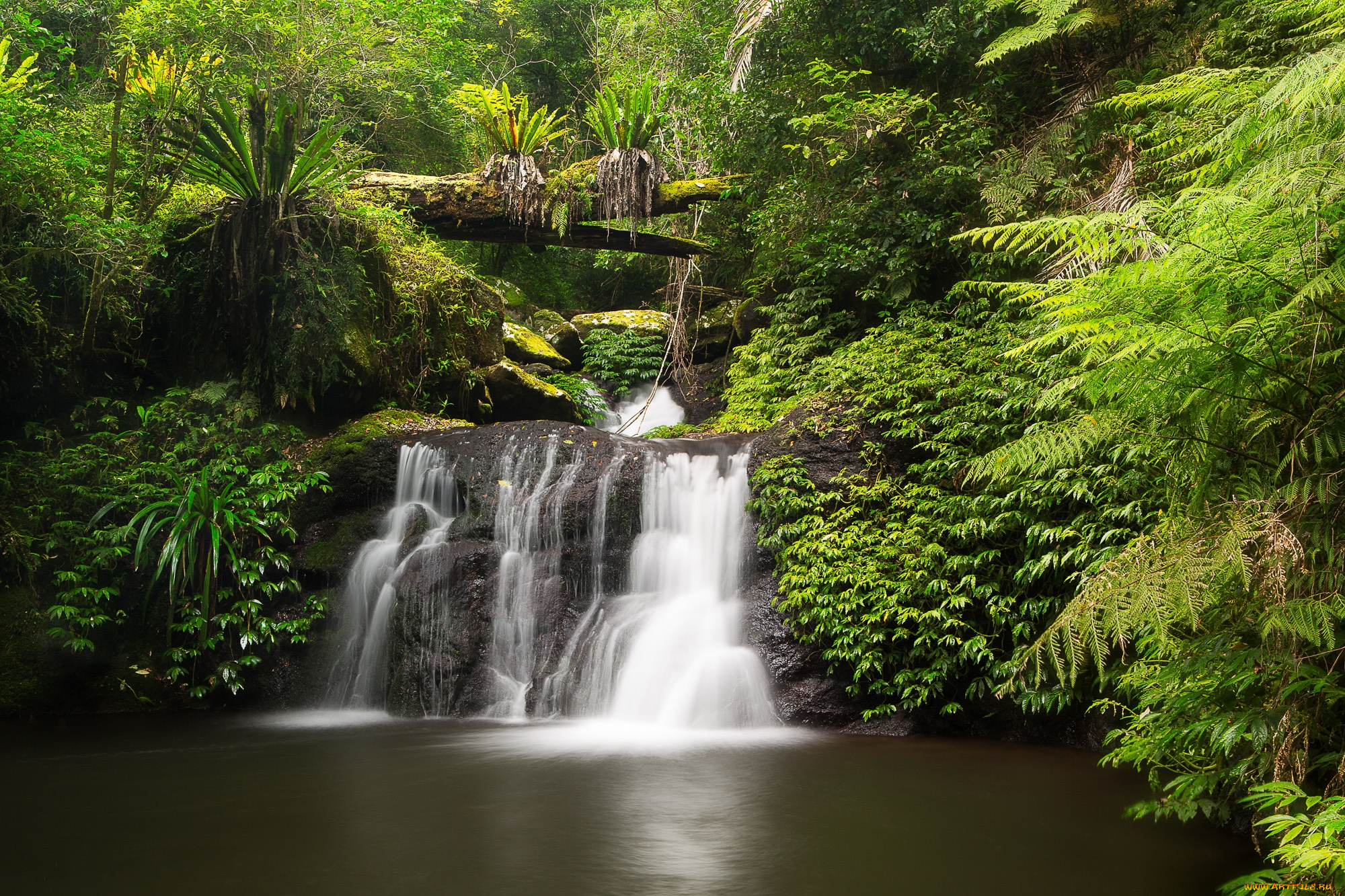 природа, водопады, водопад