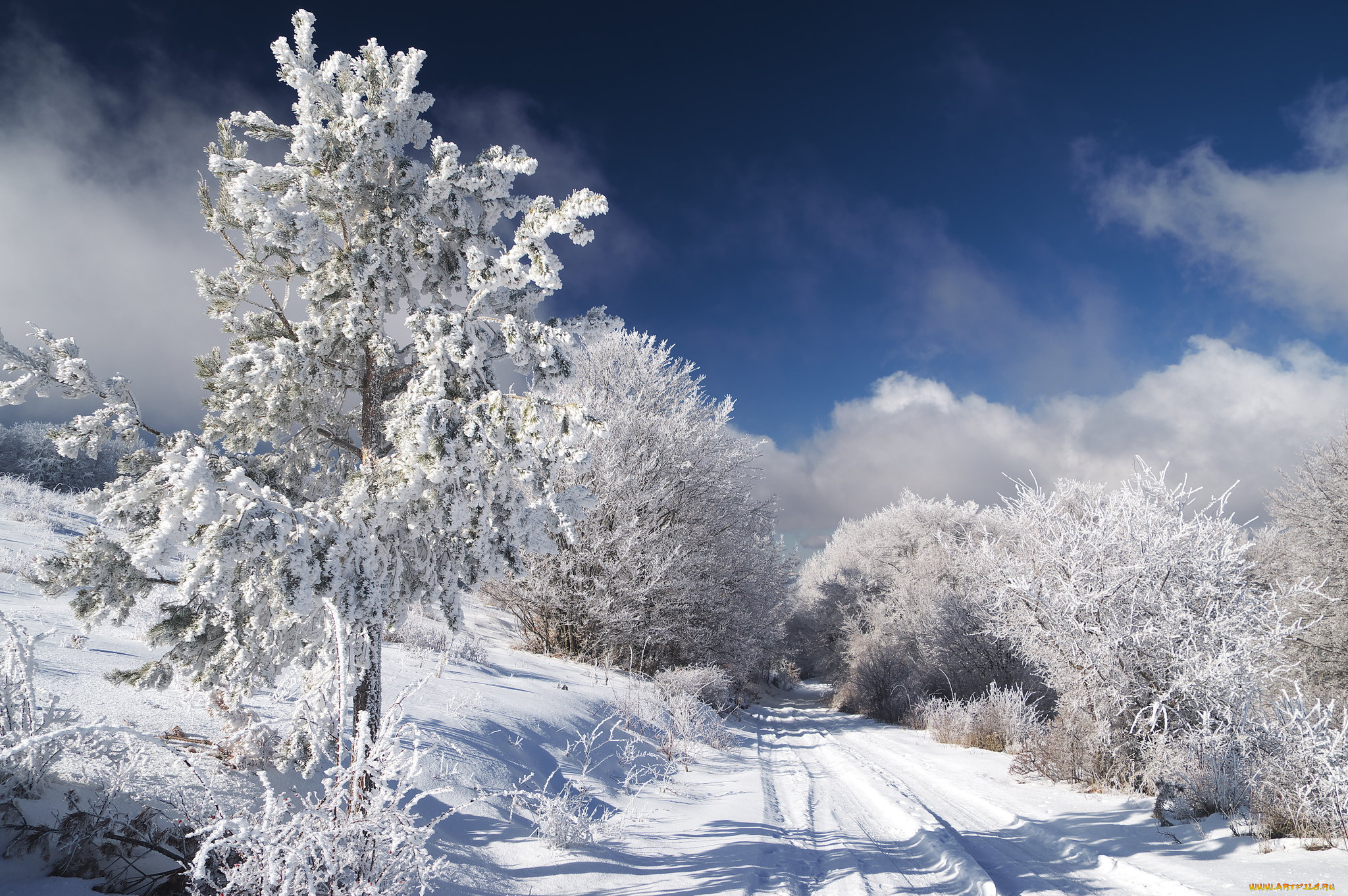 природа, зима, простор