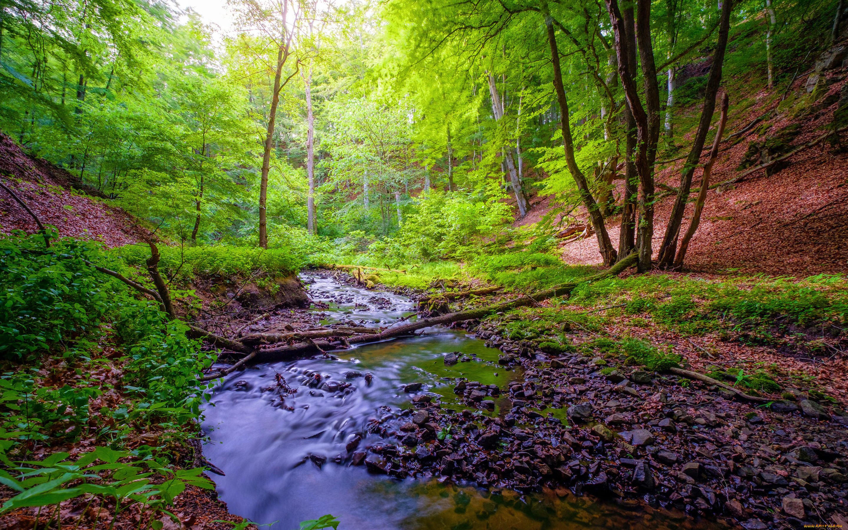 природа, реки, озера, поток