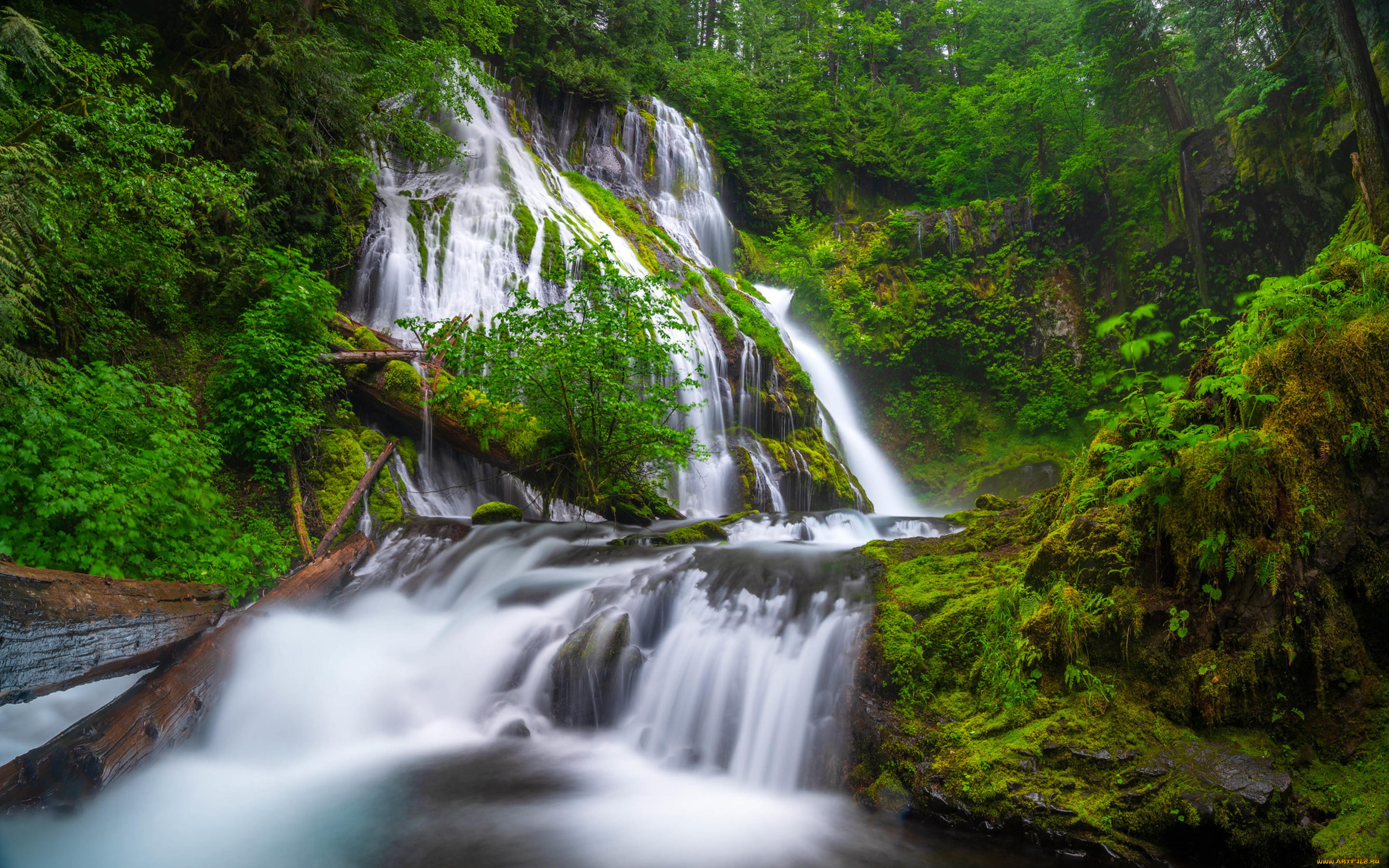 природа, водопады, поток