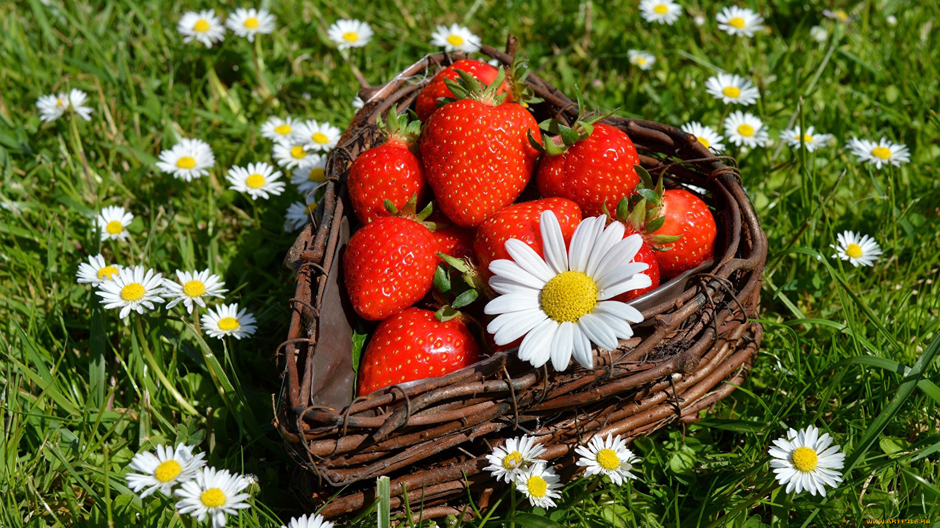 еда, клубника, , земляника