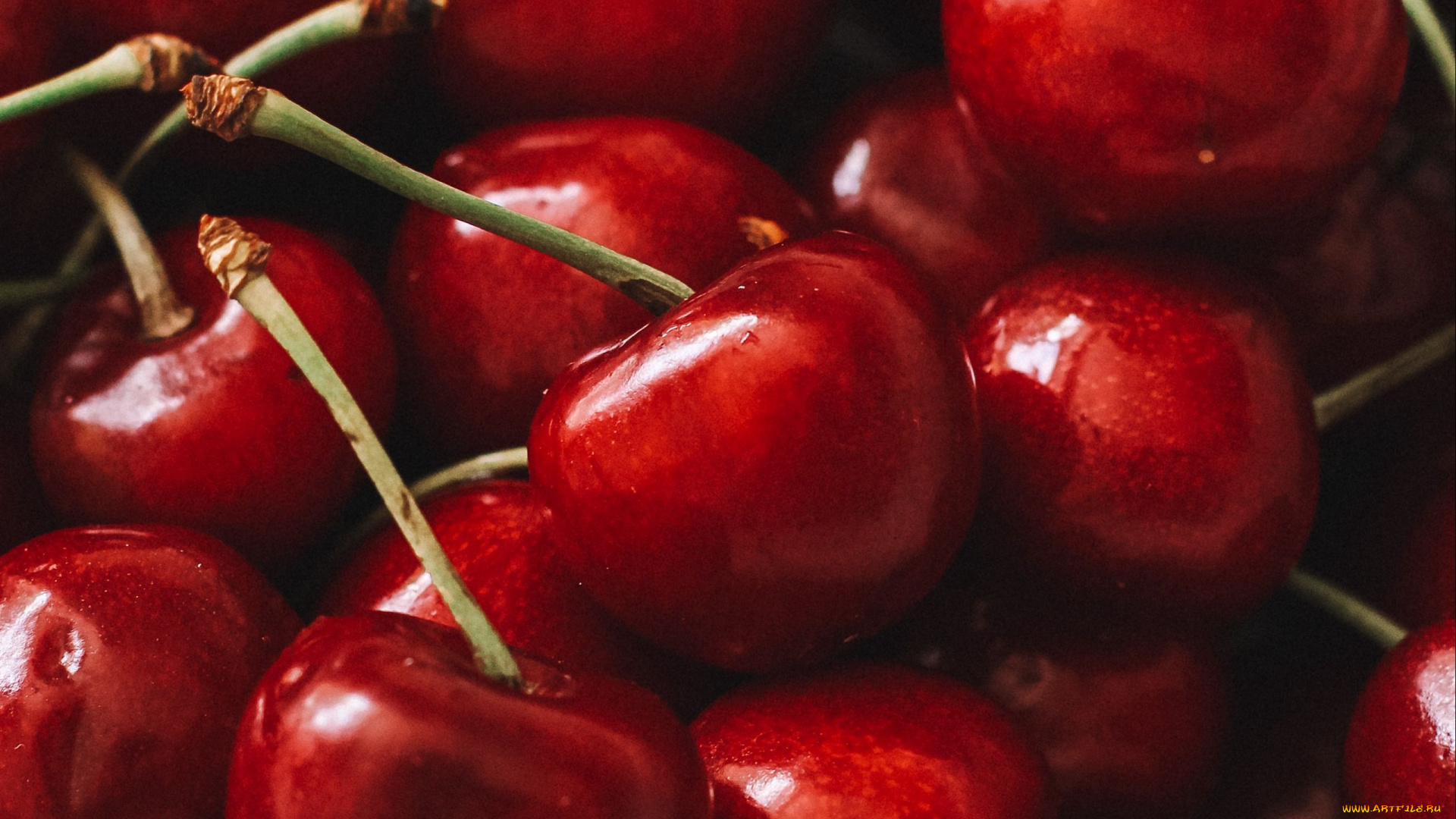 еда, вишня, , черешня, вишни