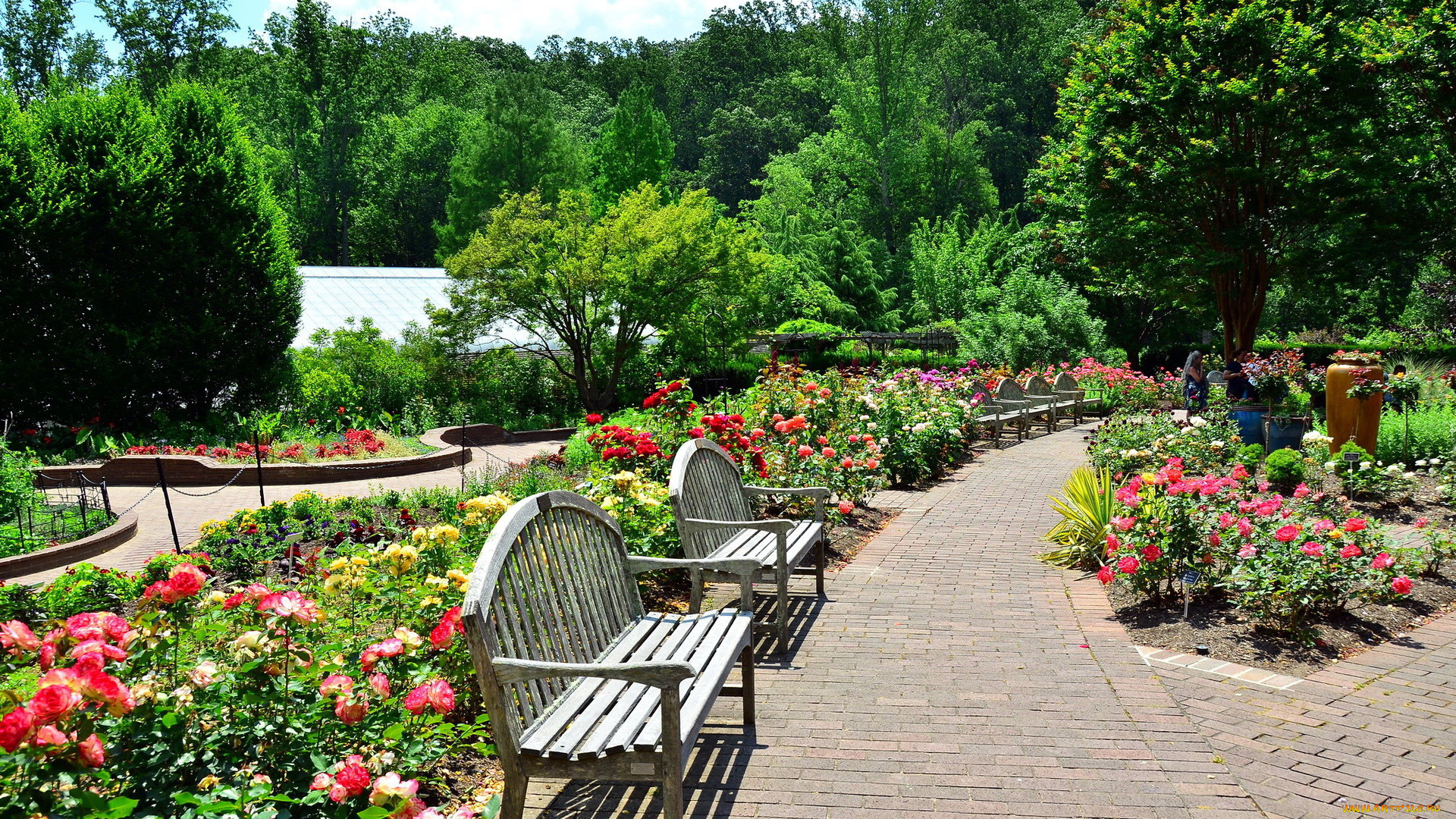 природа, парк, клумбы, скамейки, цветы