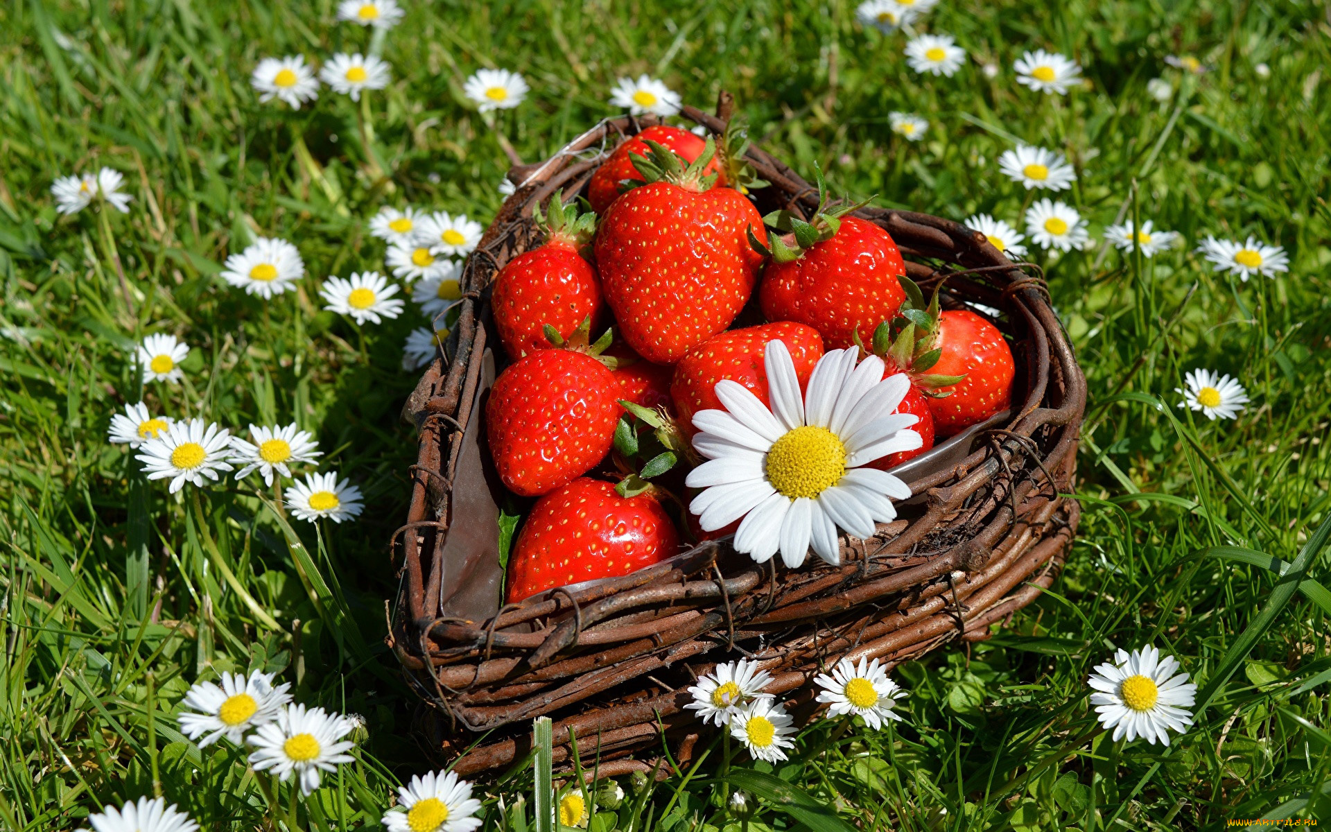 еда, клубника, , земляника