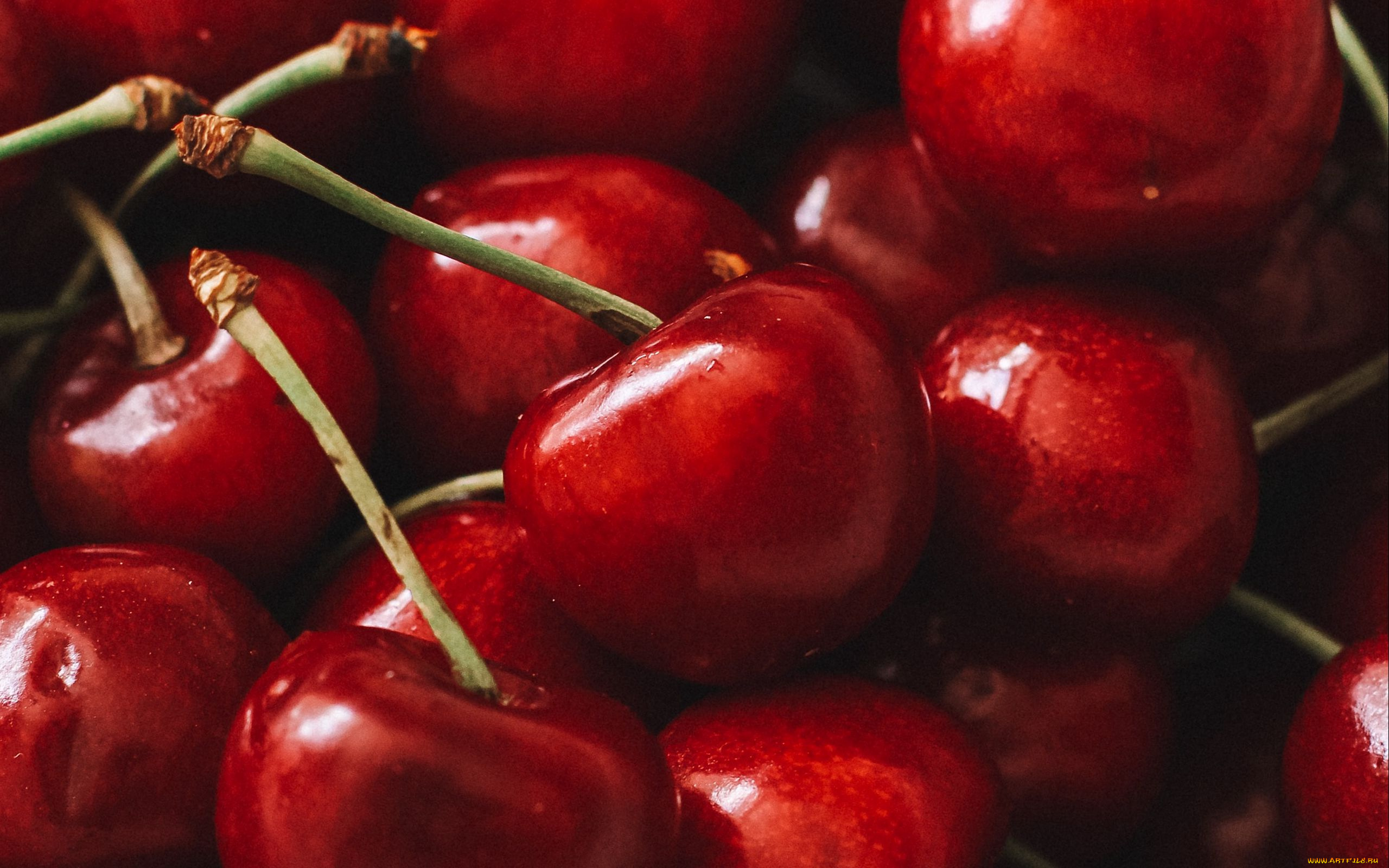 еда, вишня, , черешня, вишни