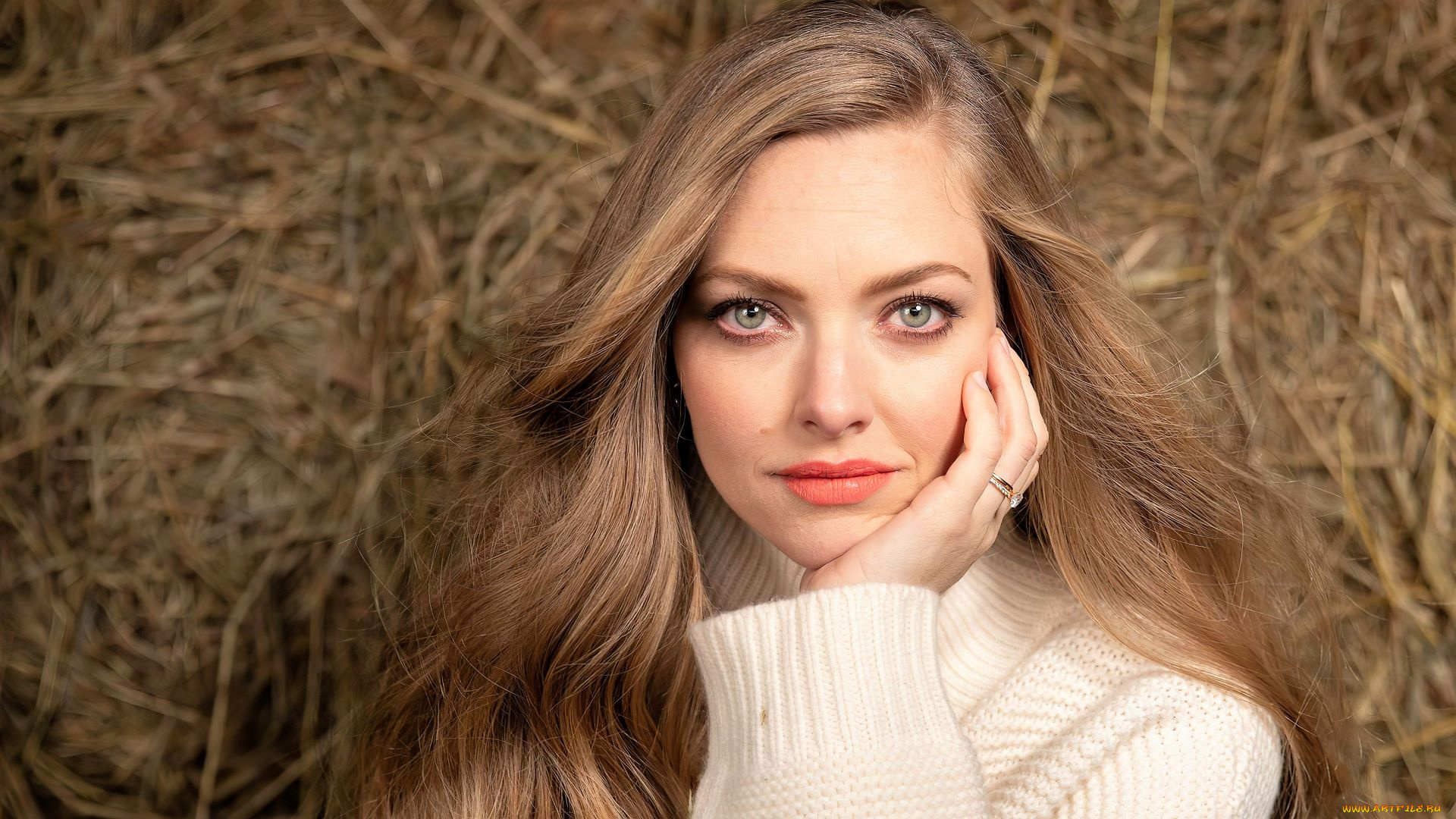 девушки, amanda, seyfried, лицо, свитер, солома