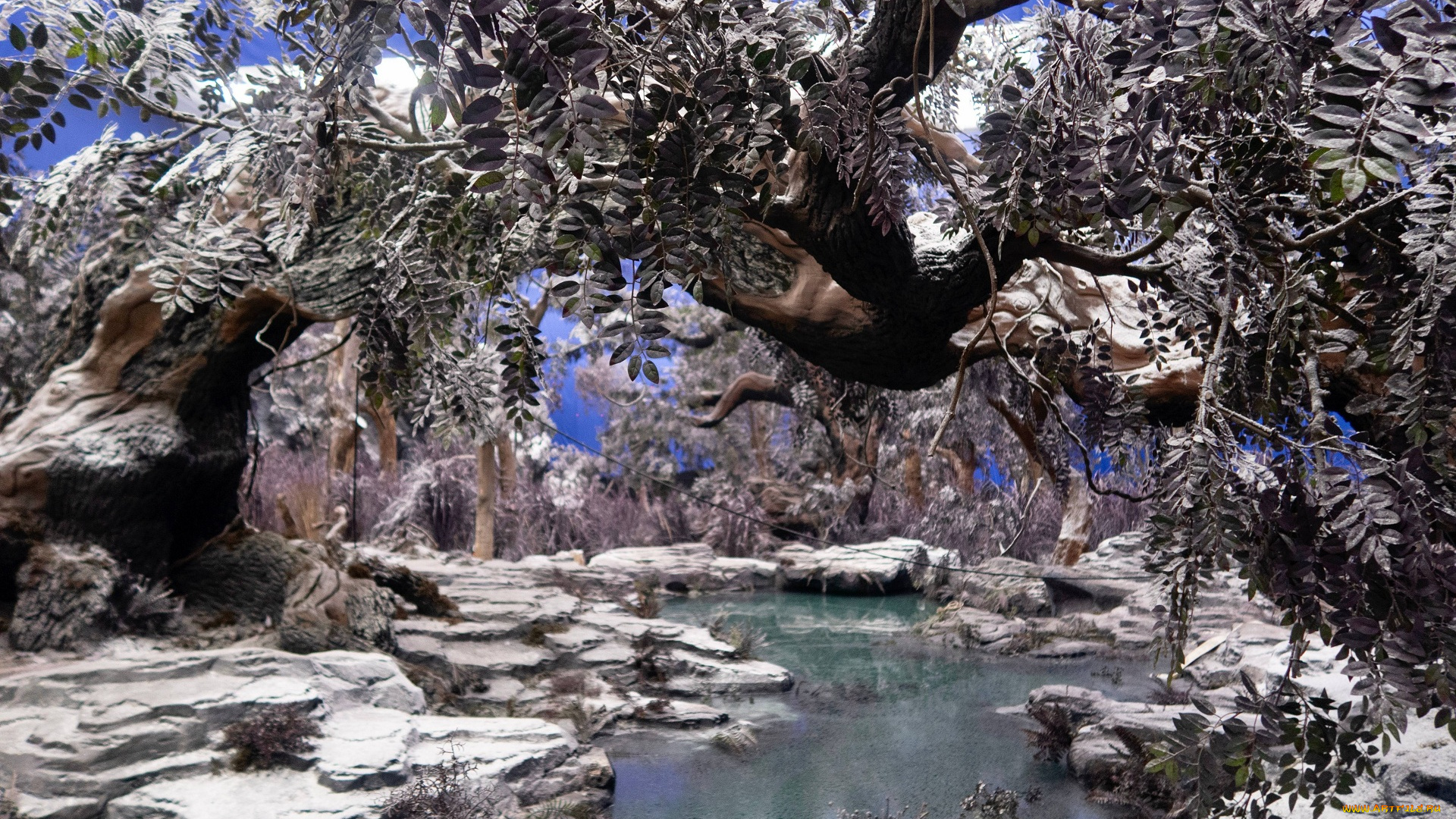 кино, фильмы, dance, of, the, phoenix, танец, феникса