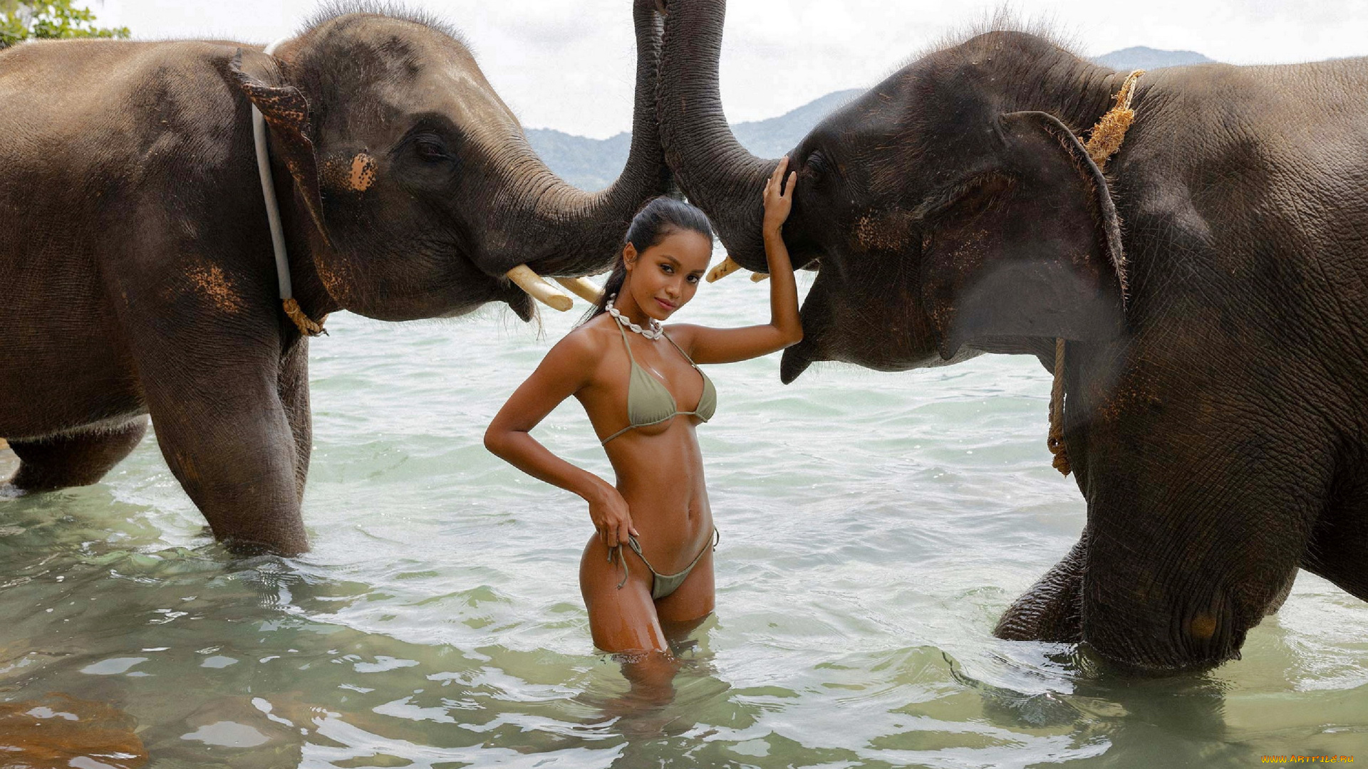 девушки, putri, cinta, слоны, купальник, бикини
