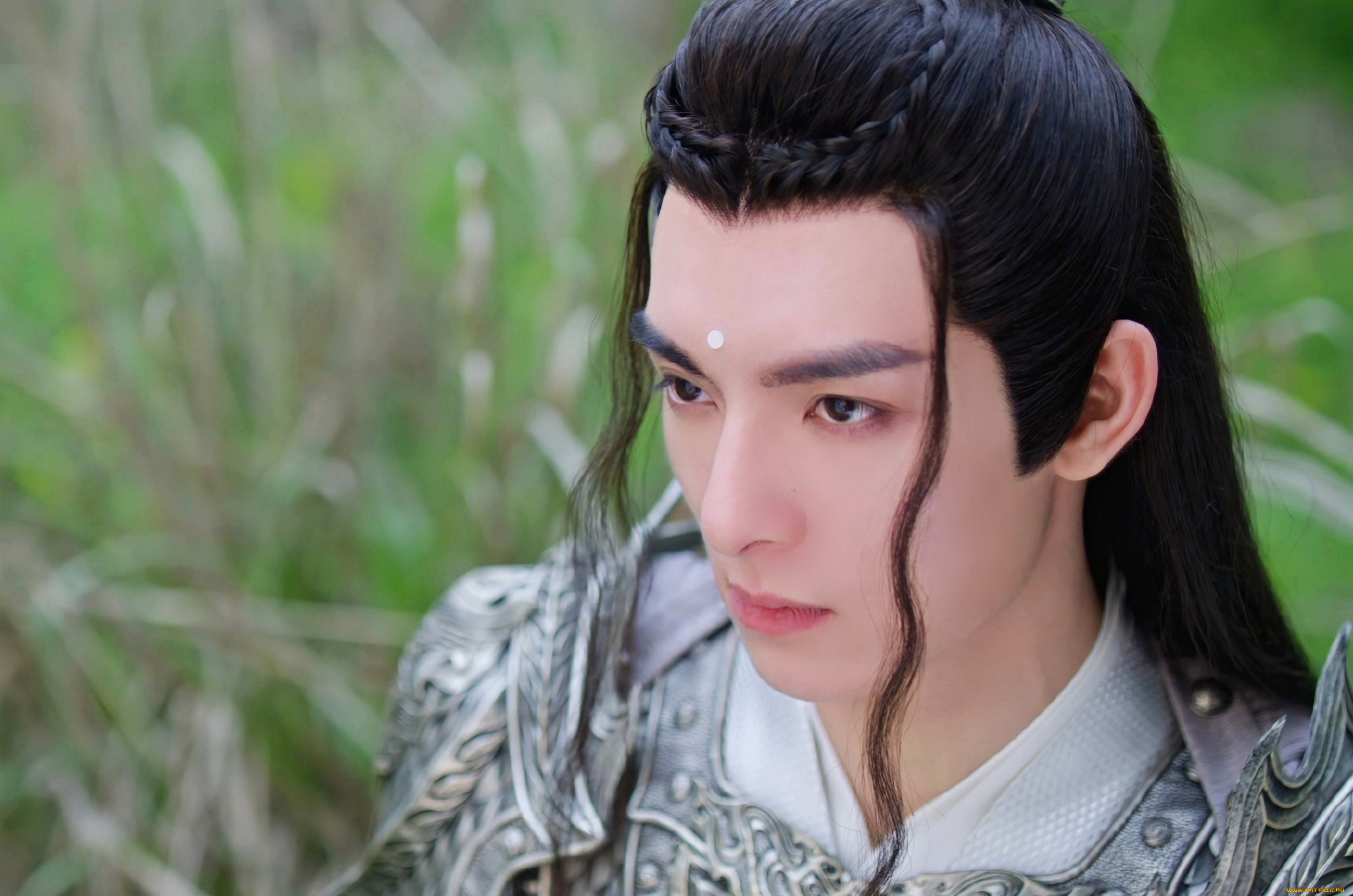 кино, фильмы, immortal, samsara, ван, хао, сюань, вечная, самсара, щепки, агарового, дерева