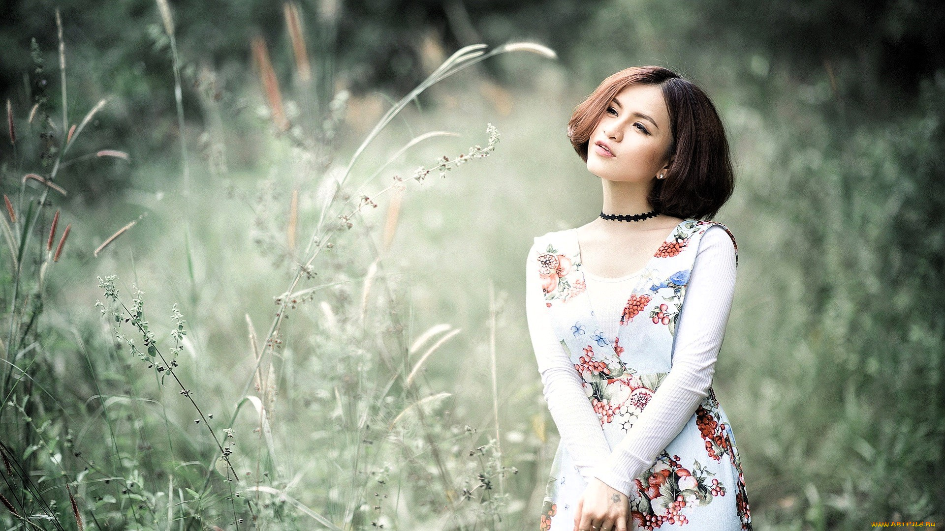 девушки, -, брюнетки, , шатенки, шатенка, платье, трава