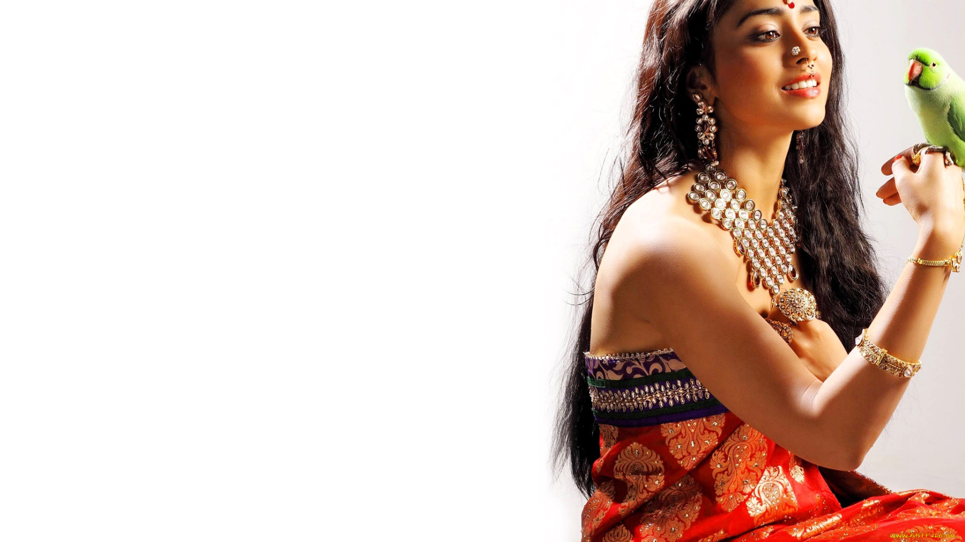 shriya, saran, девушки, шатенка, украшения, сари, попугай