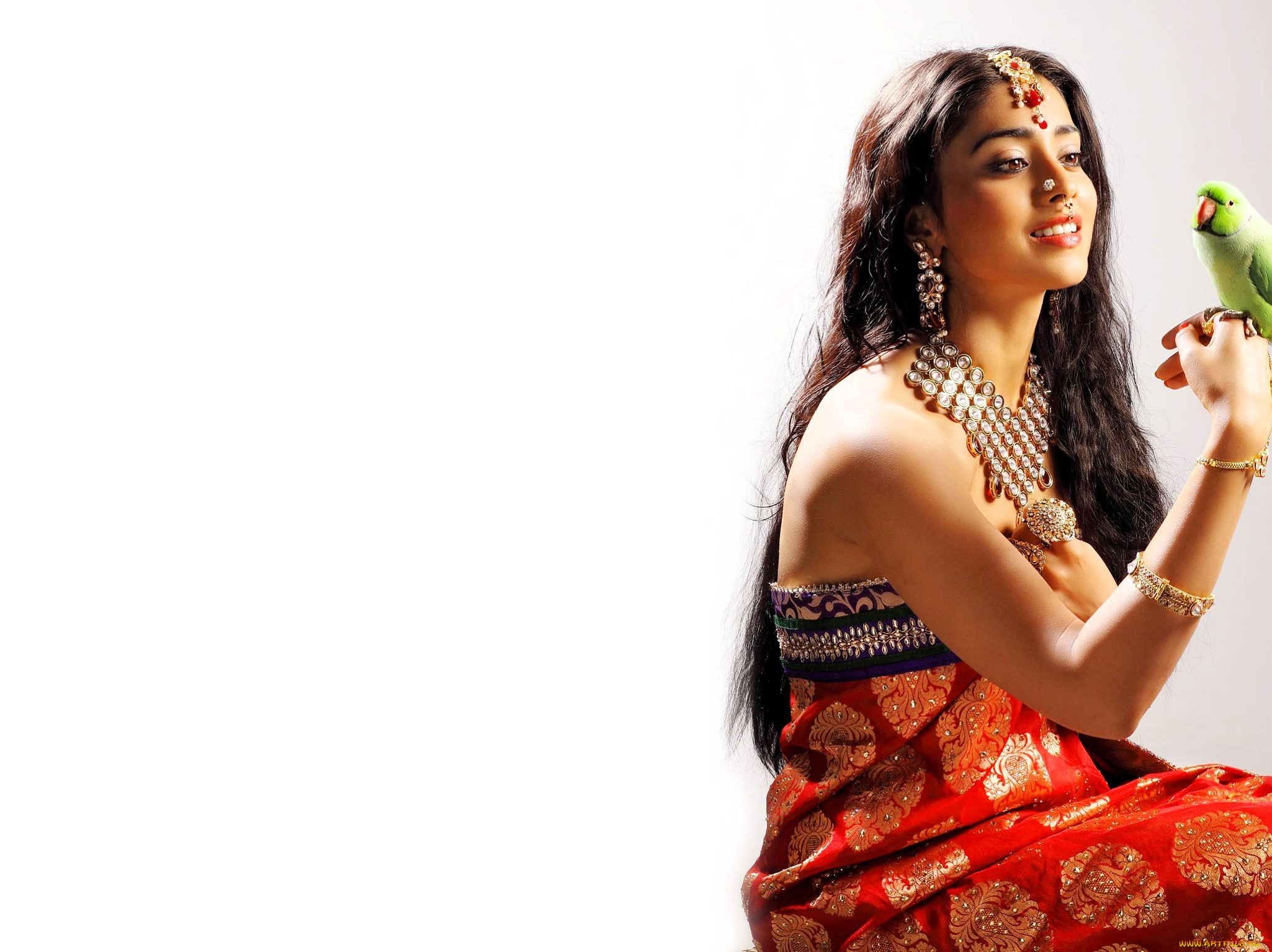 shriya, saran, девушки, шатенка, украшения, сари, попугай
