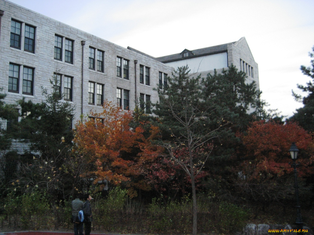 корея, города, здания, дома