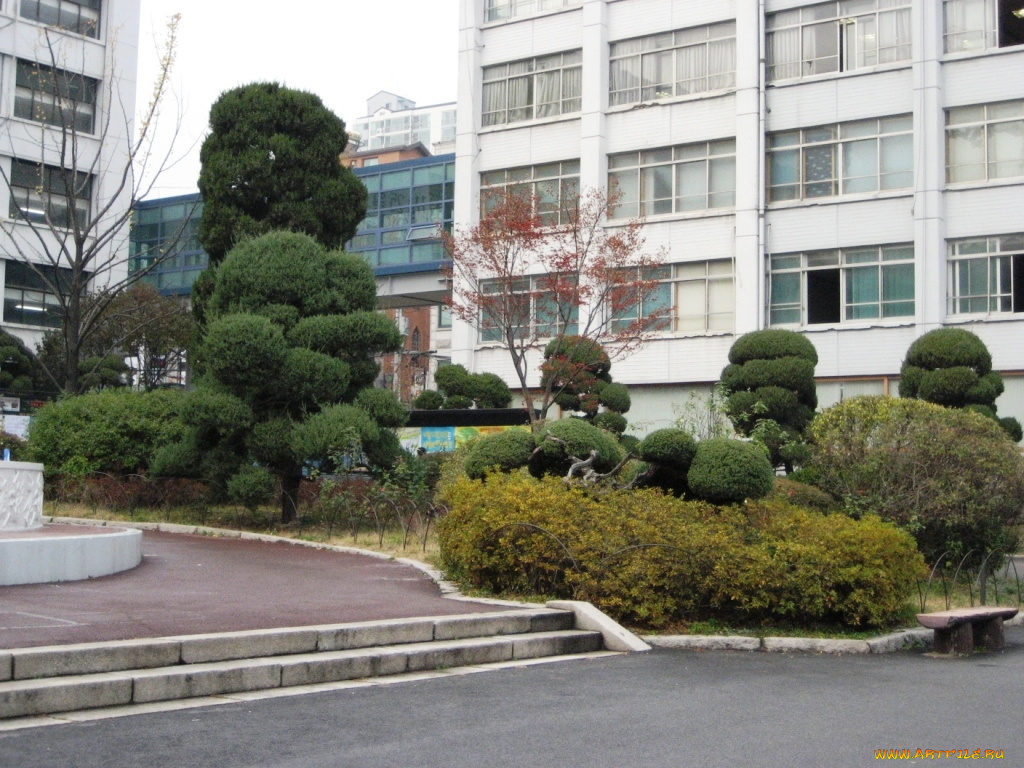 корея, города, здания, дома