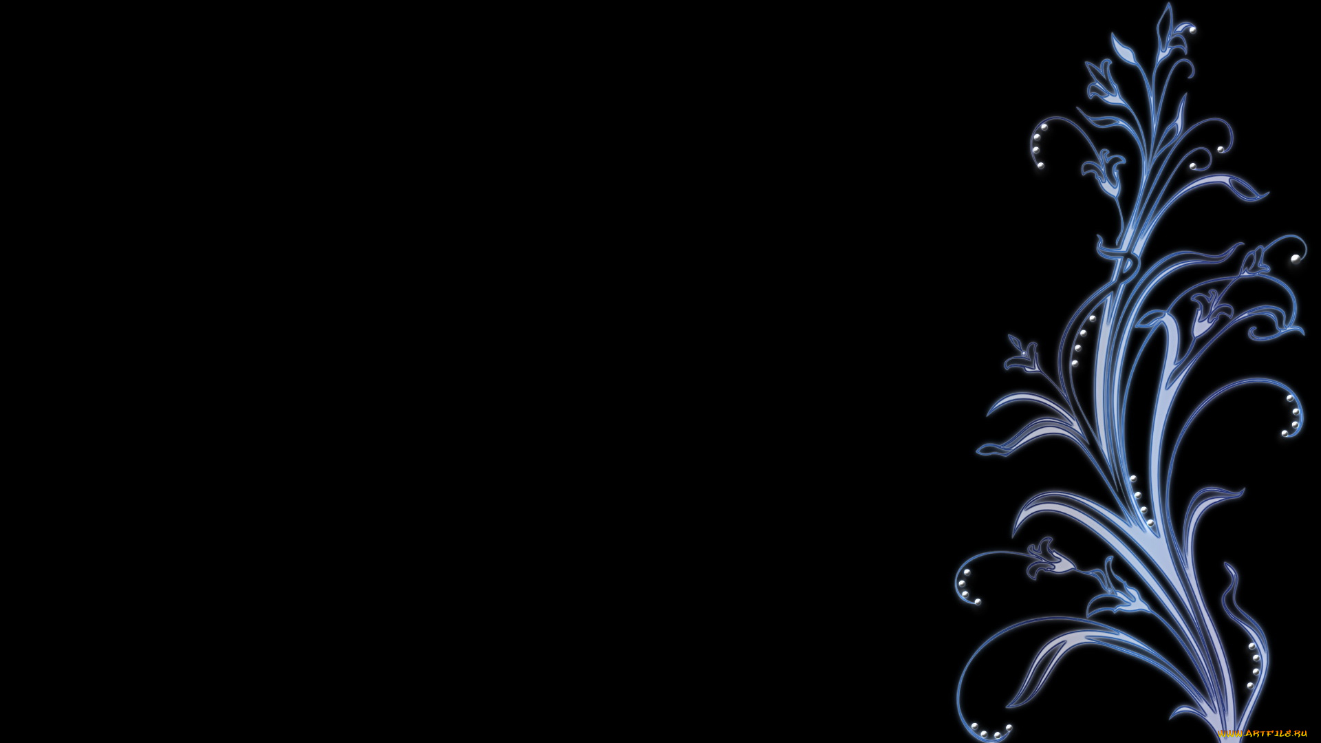 векторная, графика, цветы, тёмный