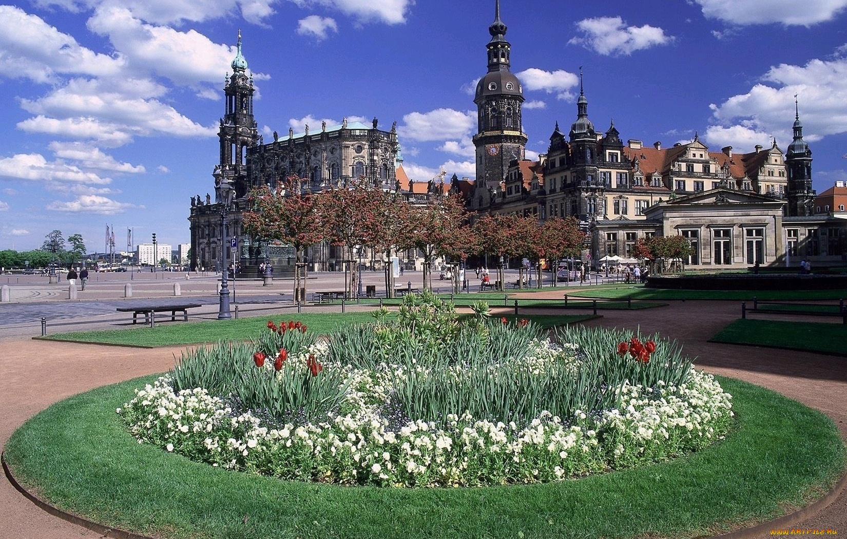 города, дрезден, германия, дома, цветы