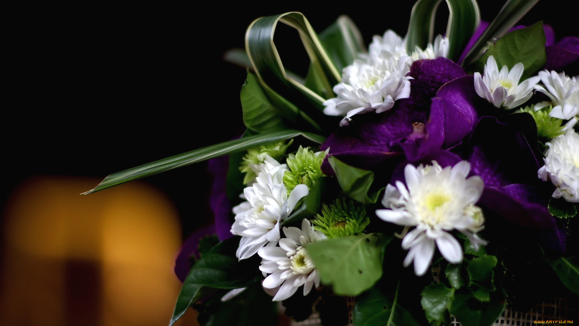 цветы, букеты, композиции, хризантемы, орхидеи